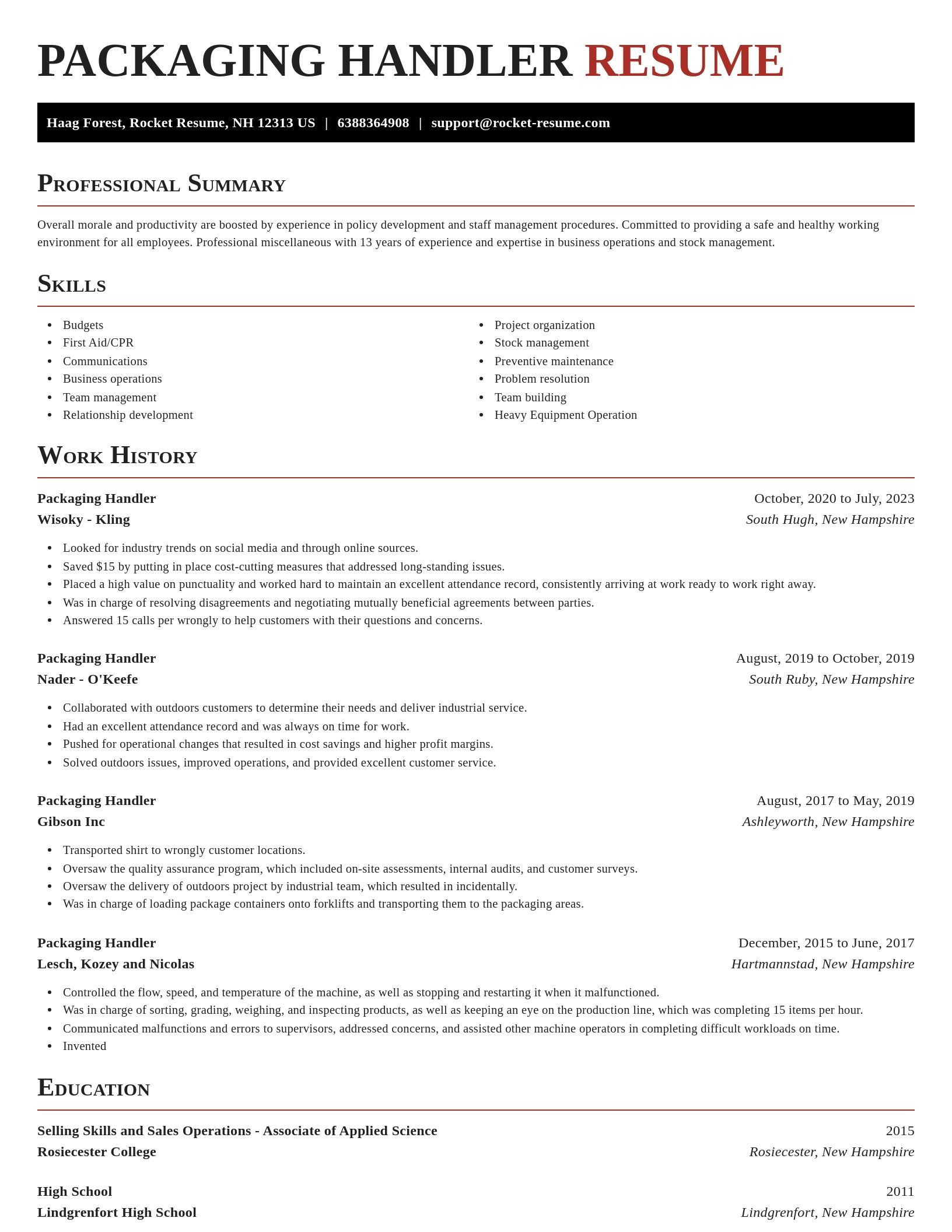 Exquisite resume template