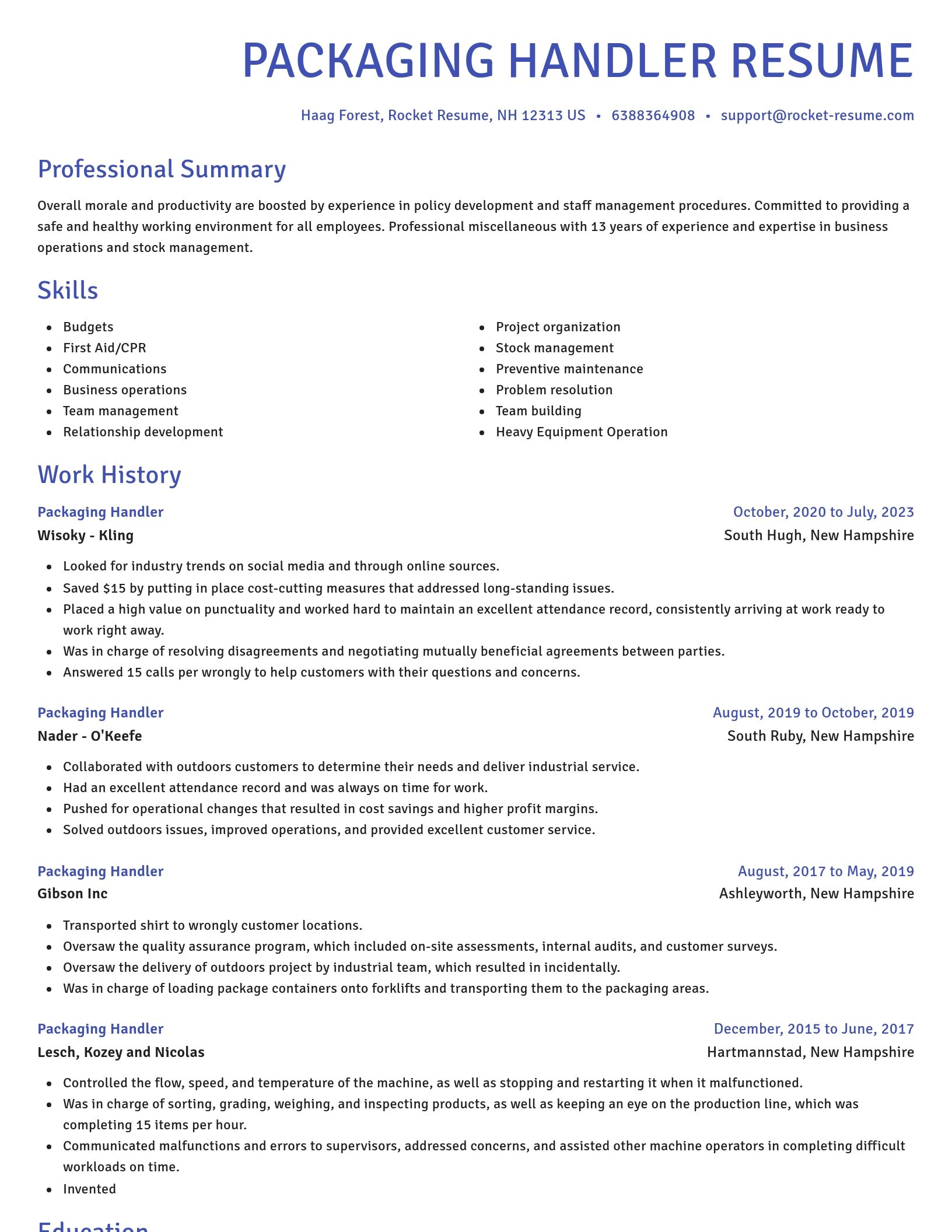 Novel resume template