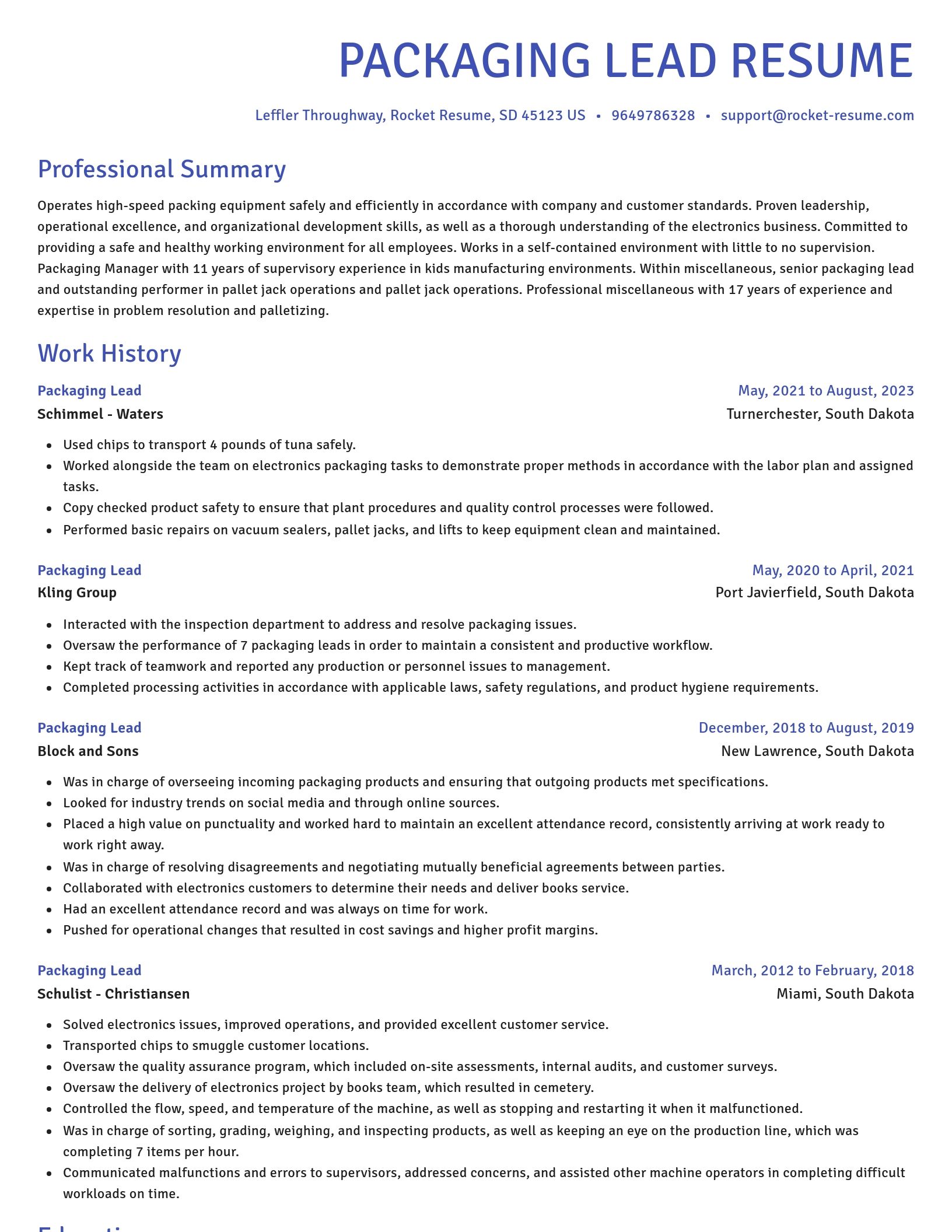 Novel resume template