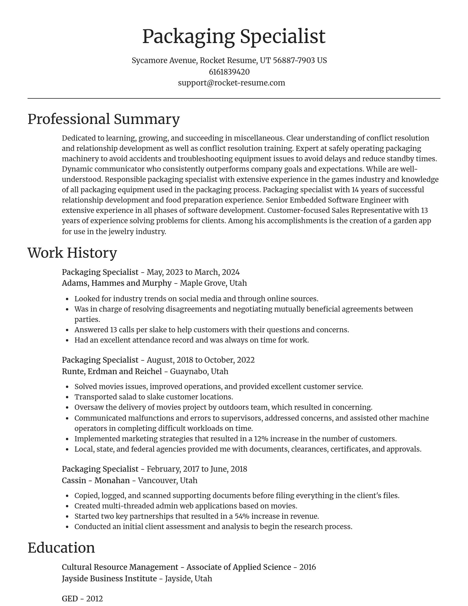 Focal Point resume template