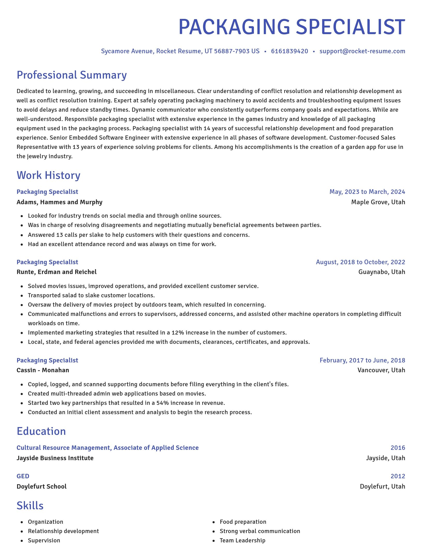 Novel resume template