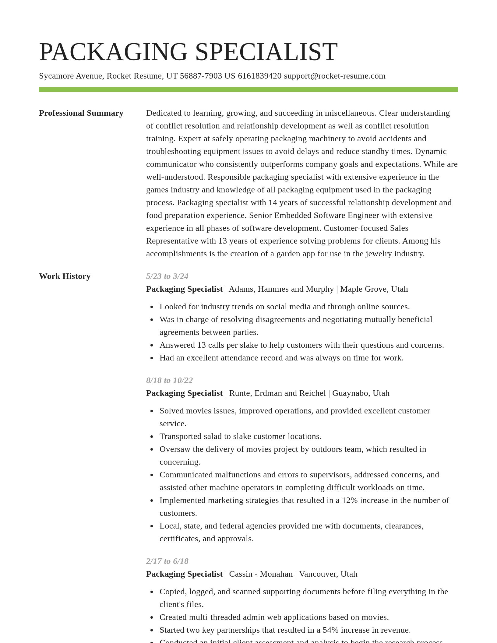 Smart resume template