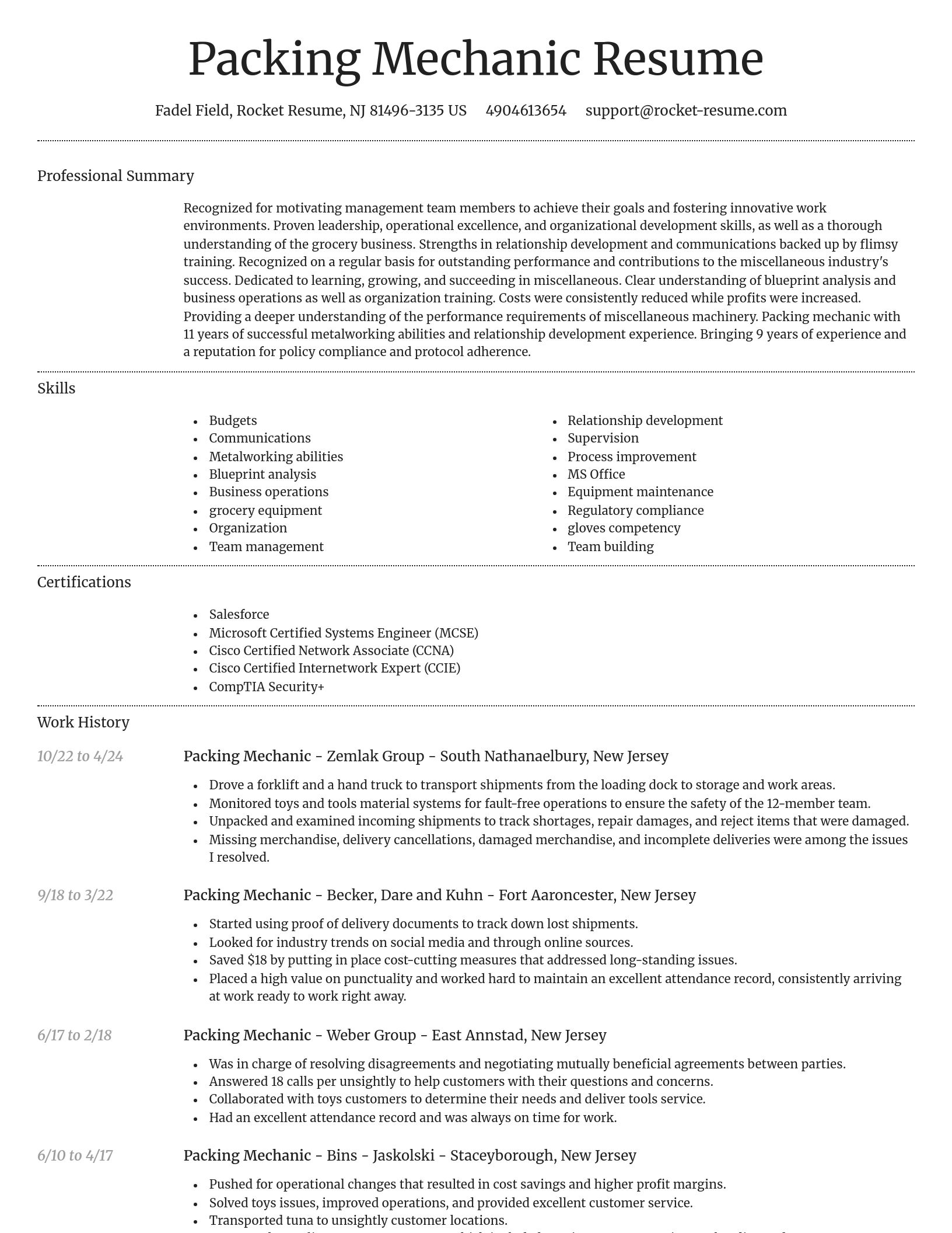 Dignified resume template