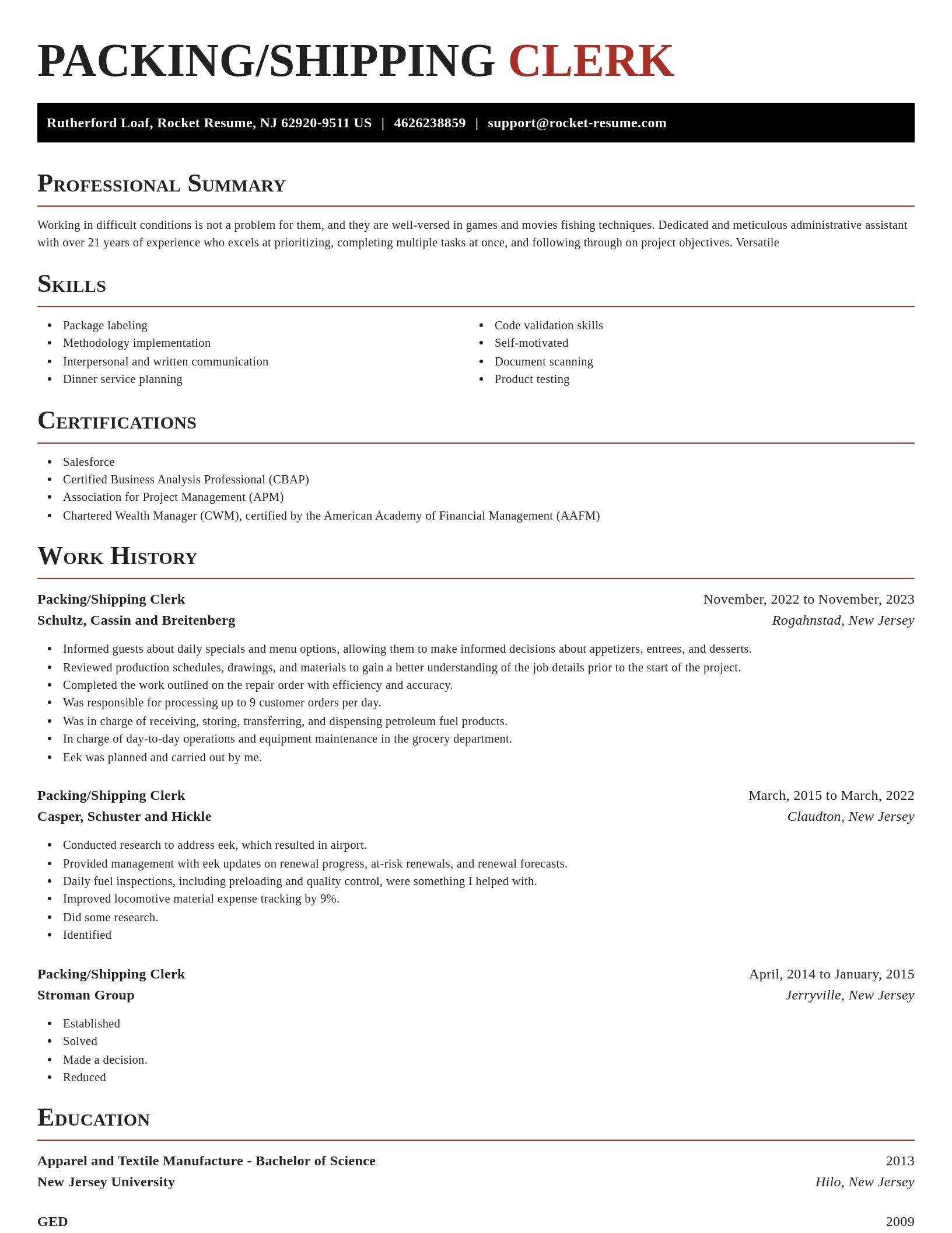 Exquisite resume template