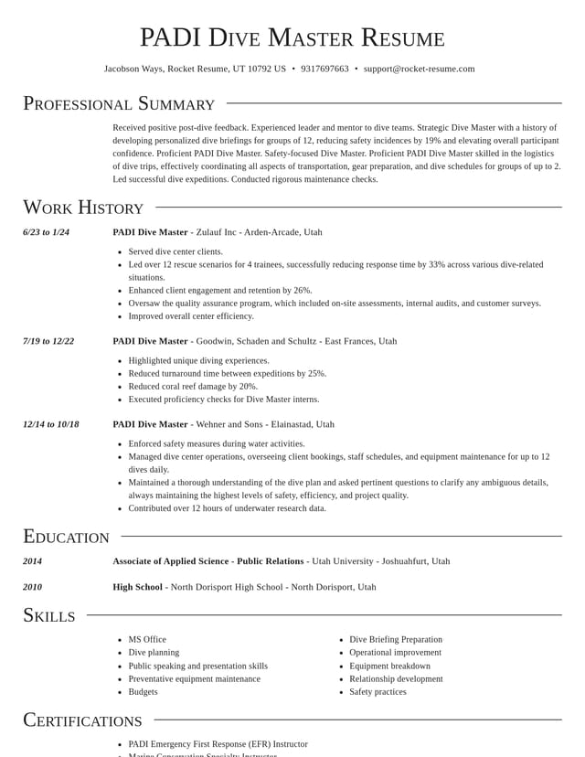 Director resume template