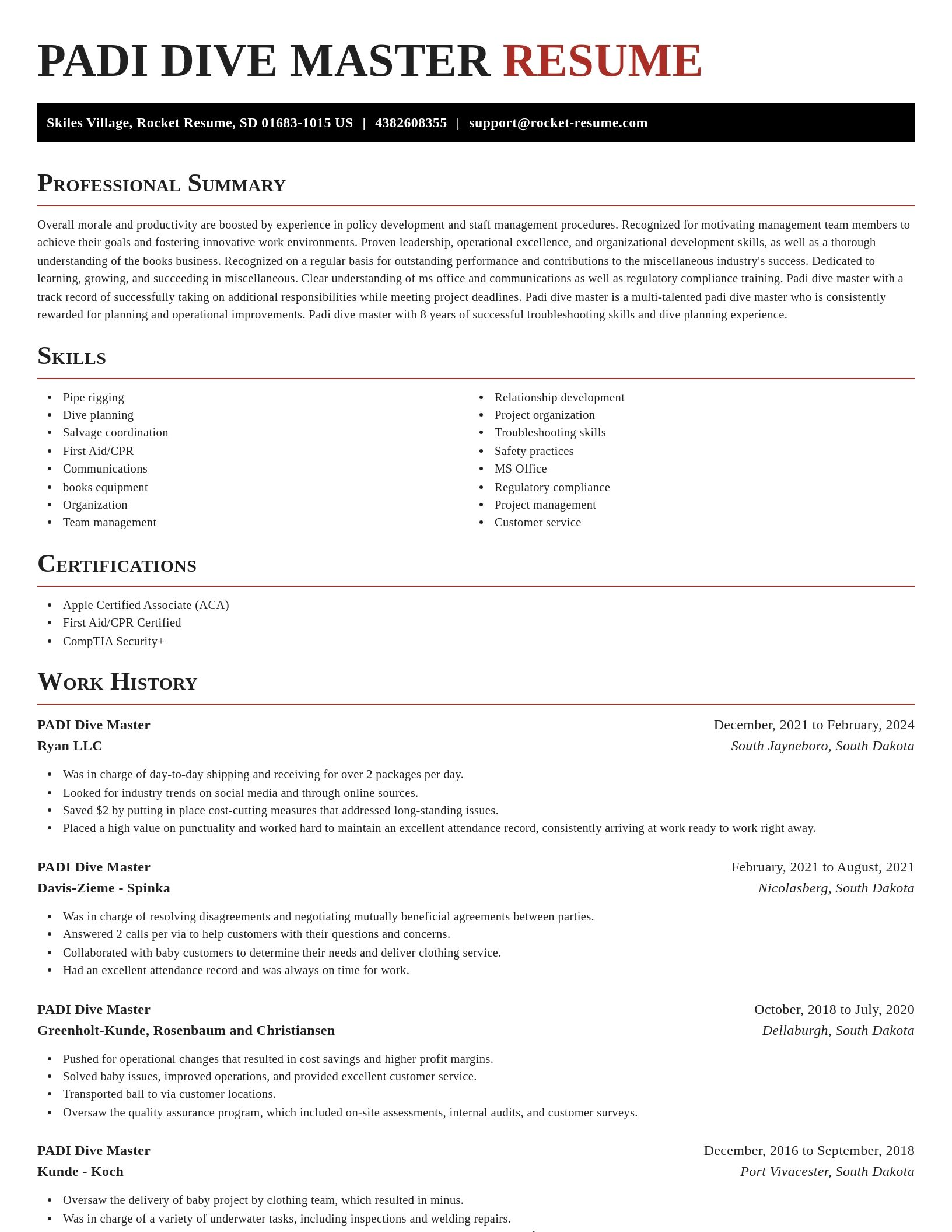 Exquisite resume template