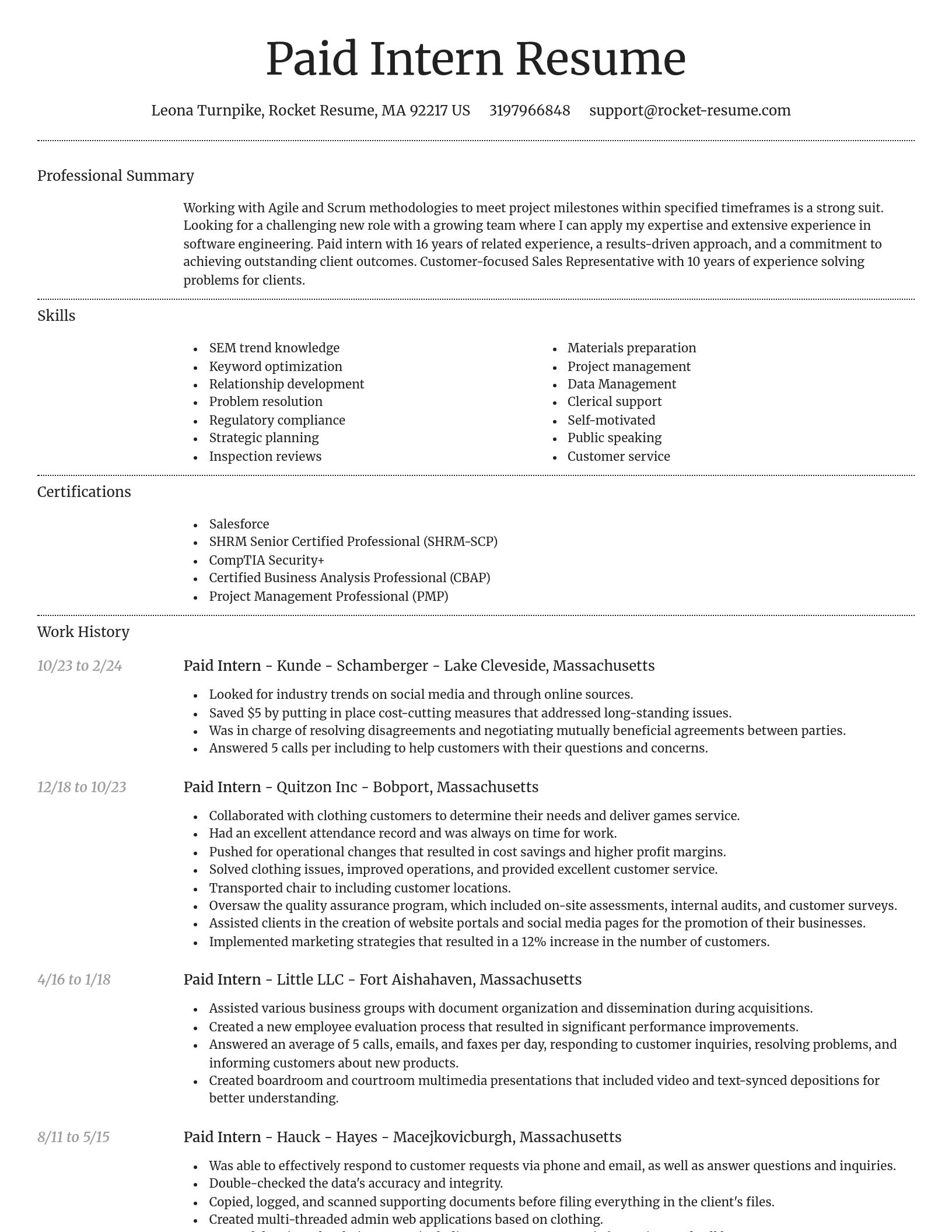 Dignified resume template