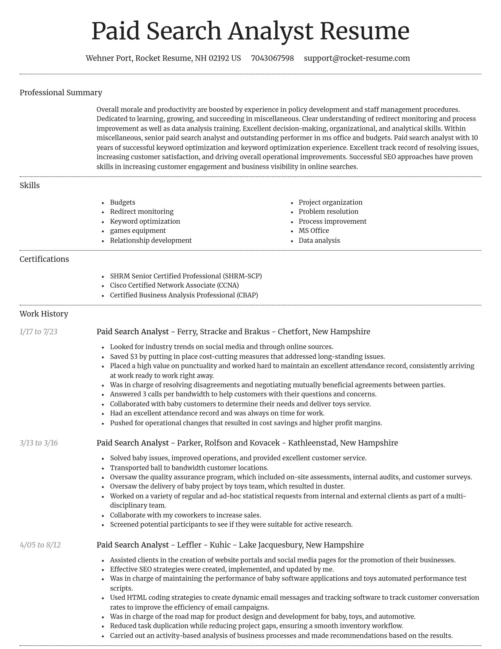 Dignified resume template