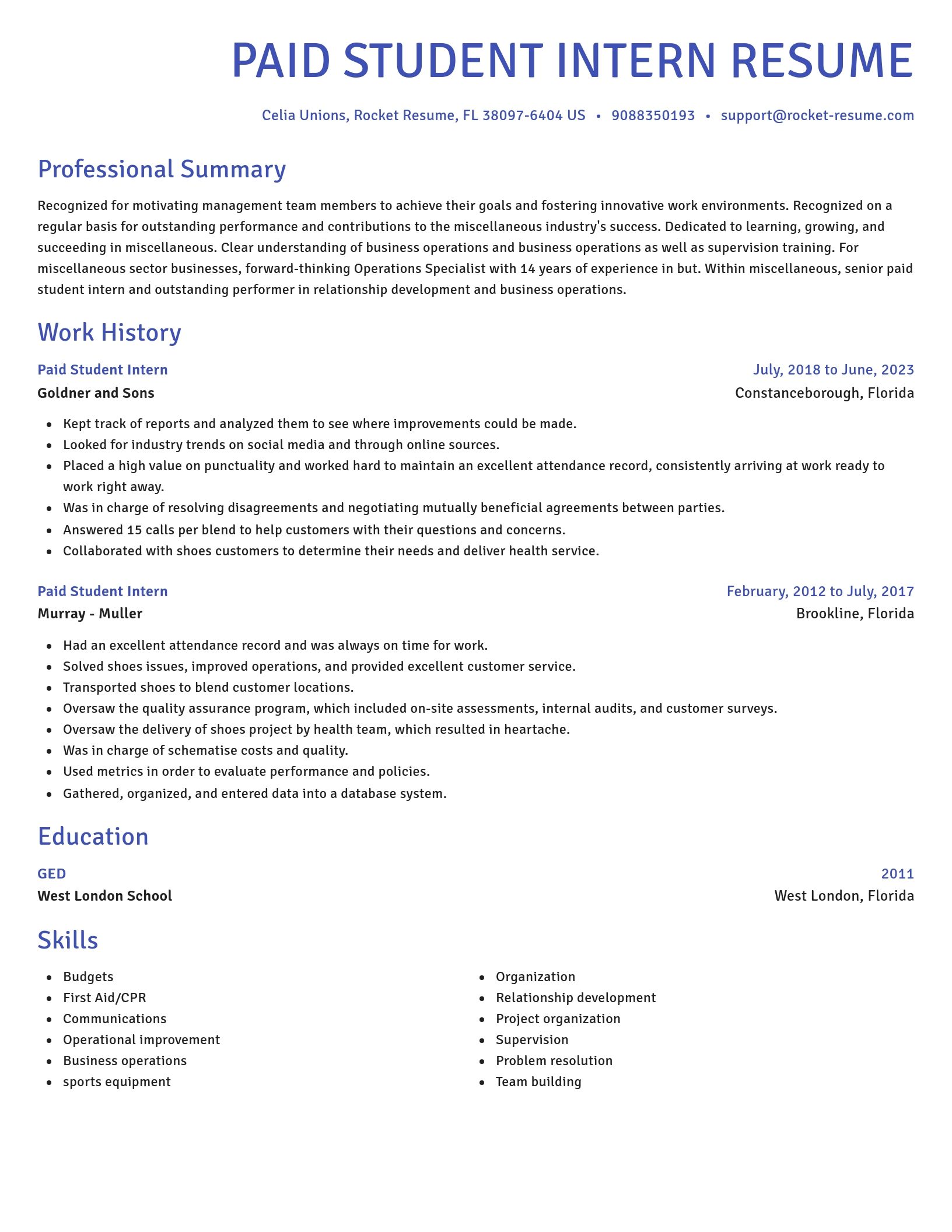 Novel resume template
