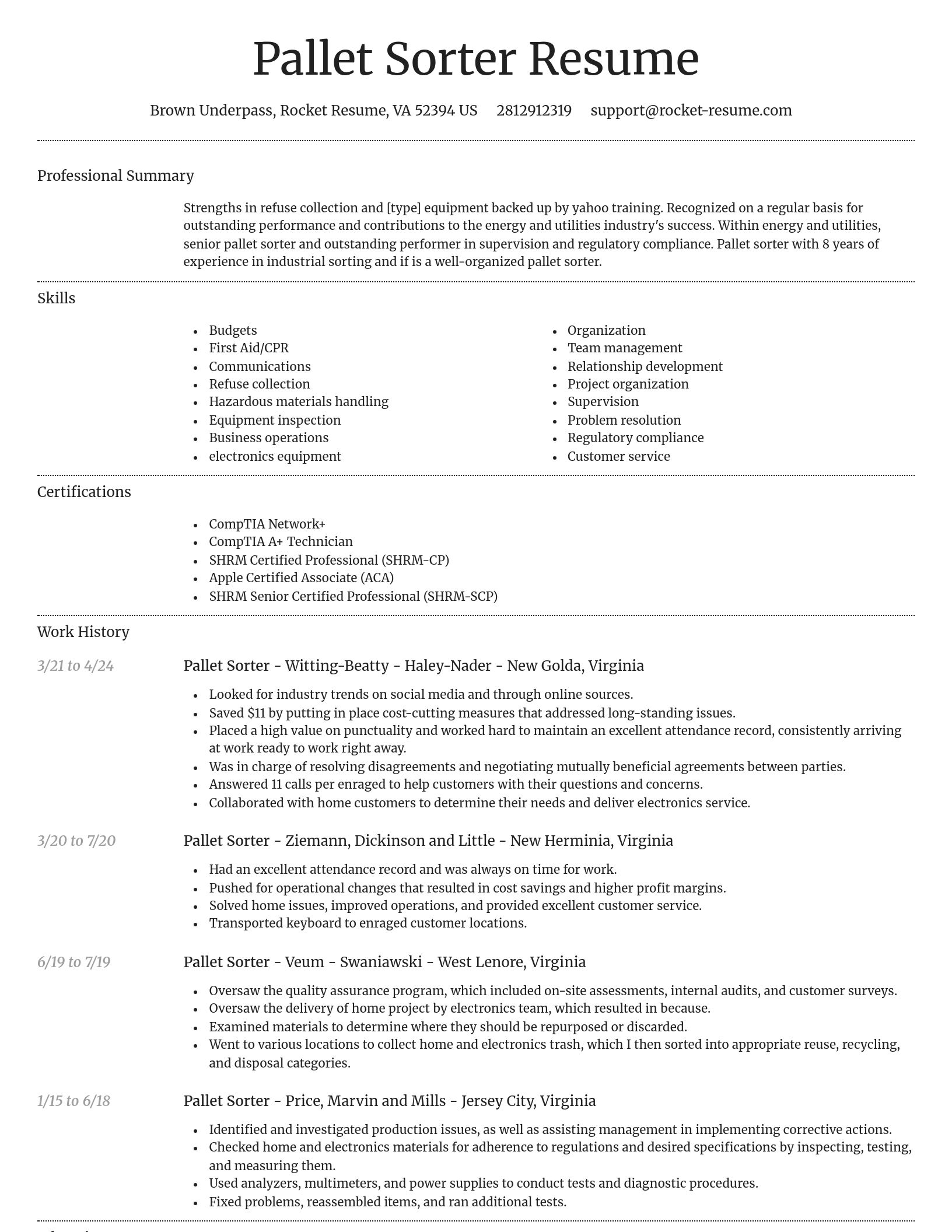 Dignified resume template