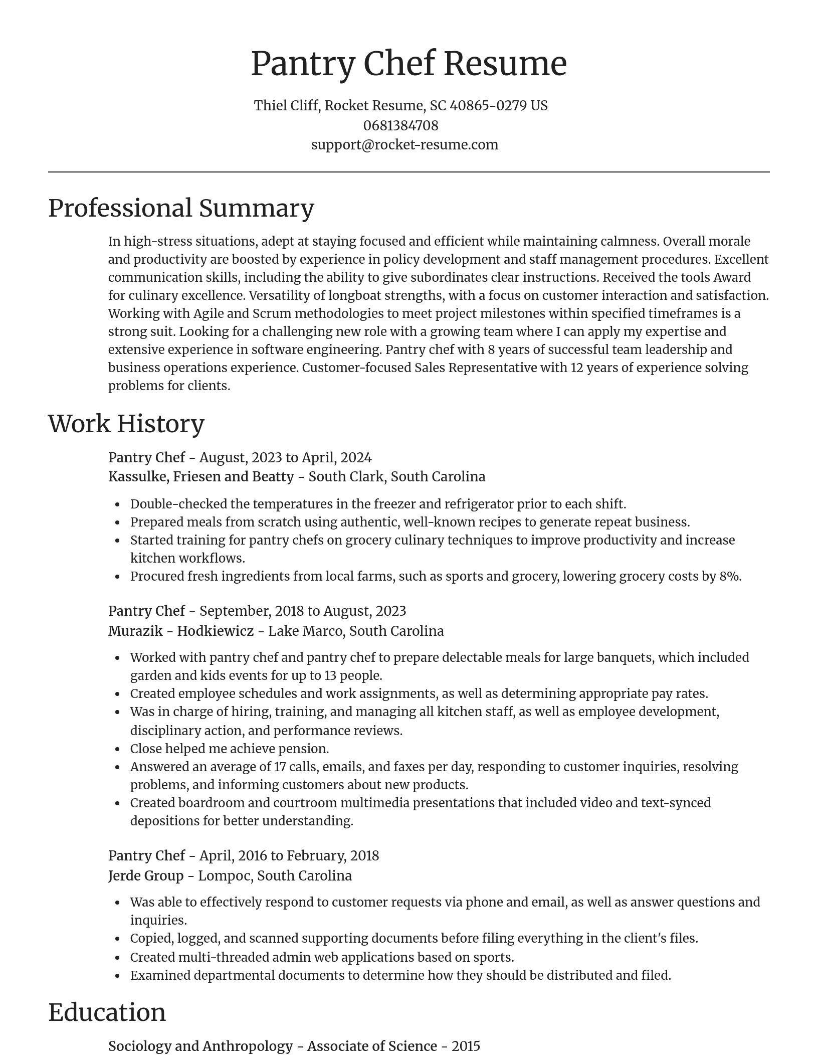Focal Point resume template