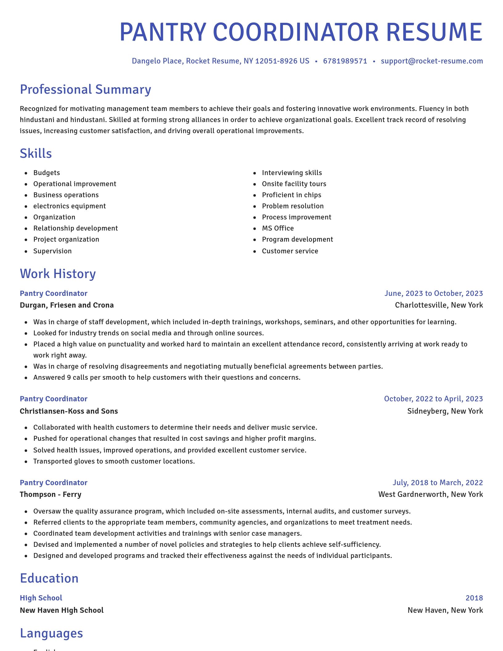 Novel resume template