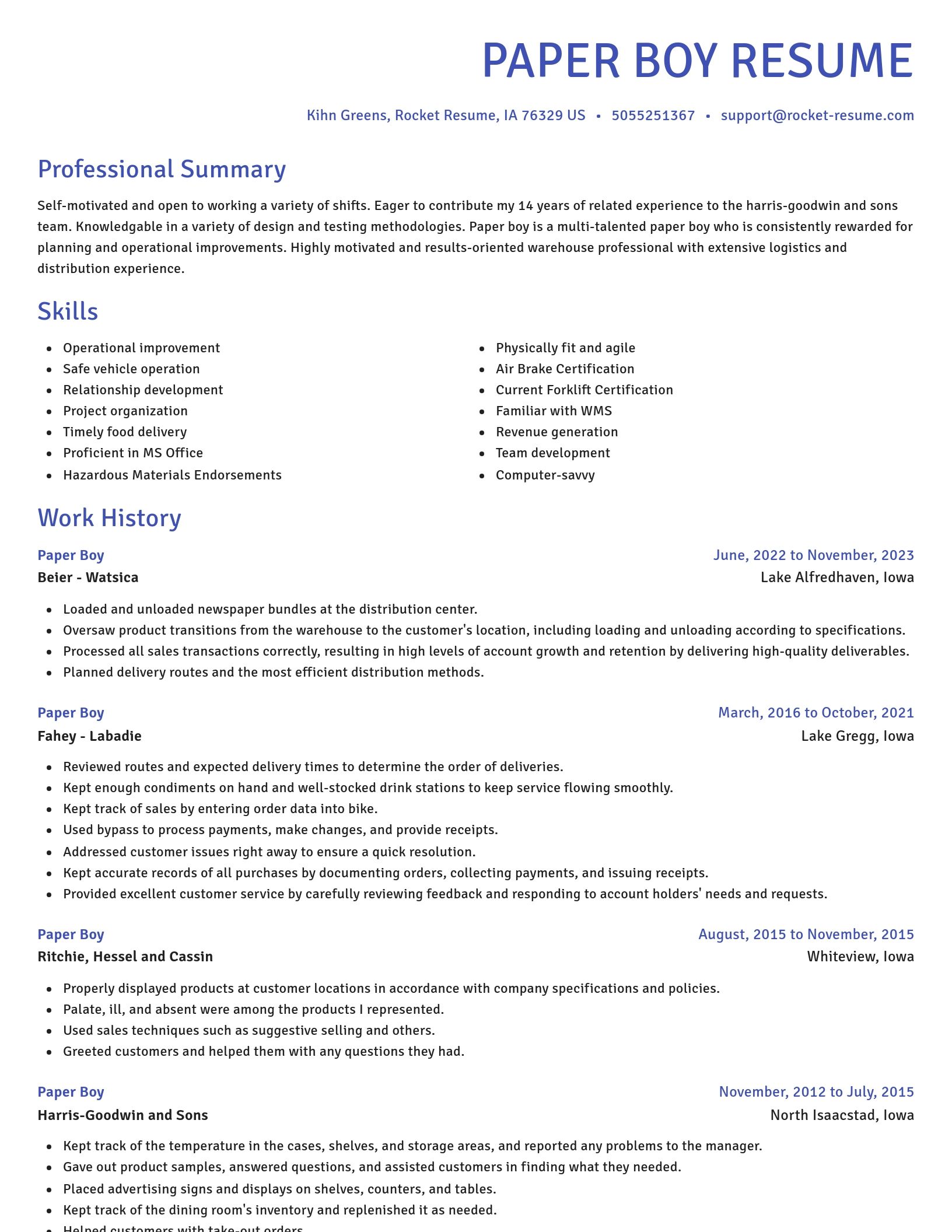 Novel resume template