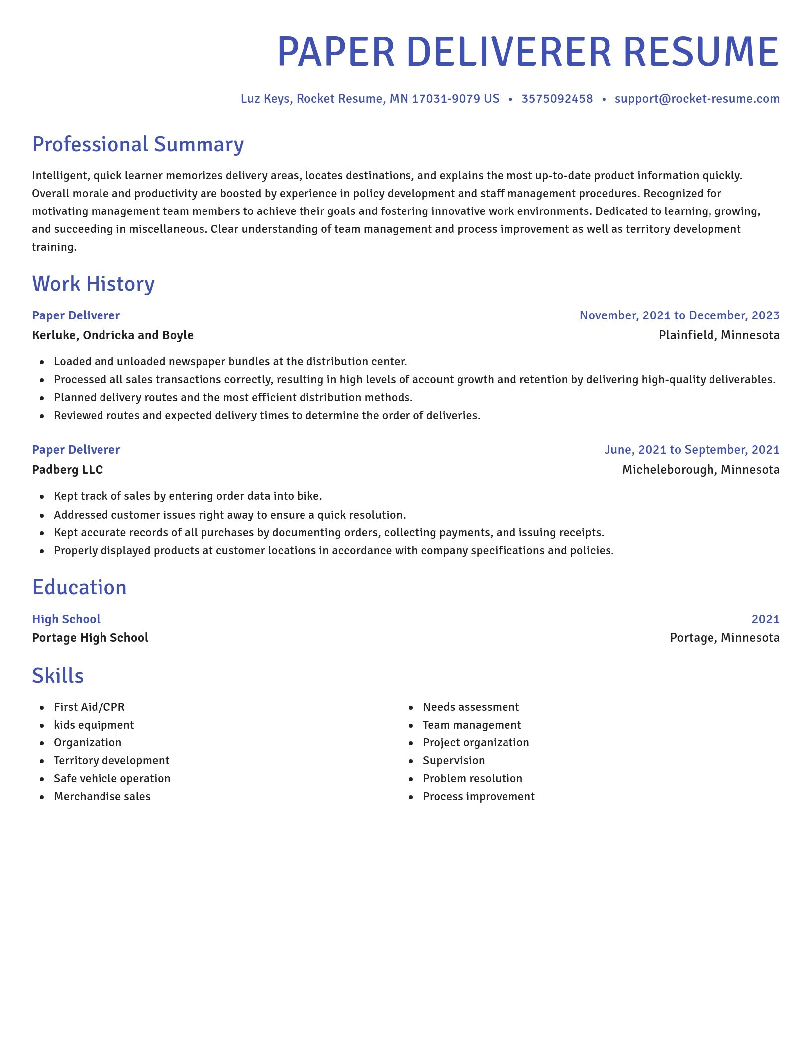Novel resume template