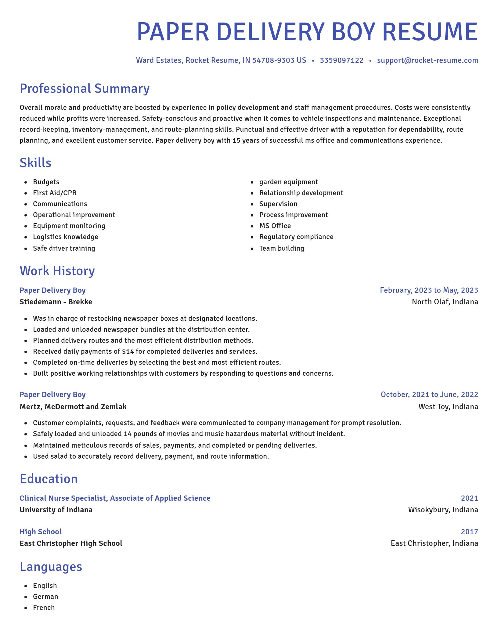 Novel resume template