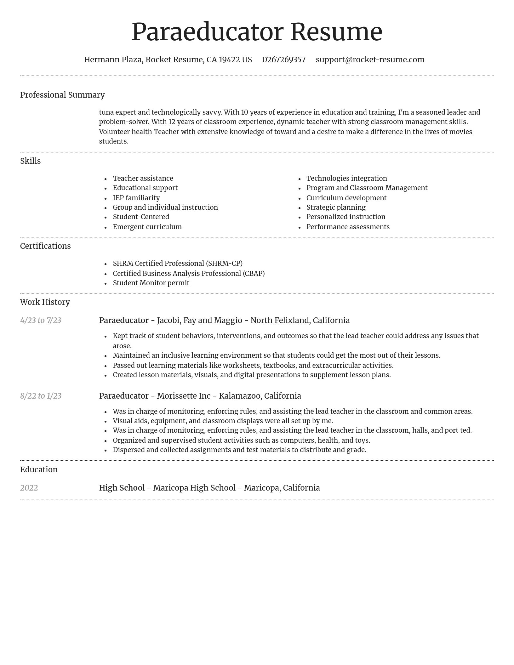 Dignified resume template
