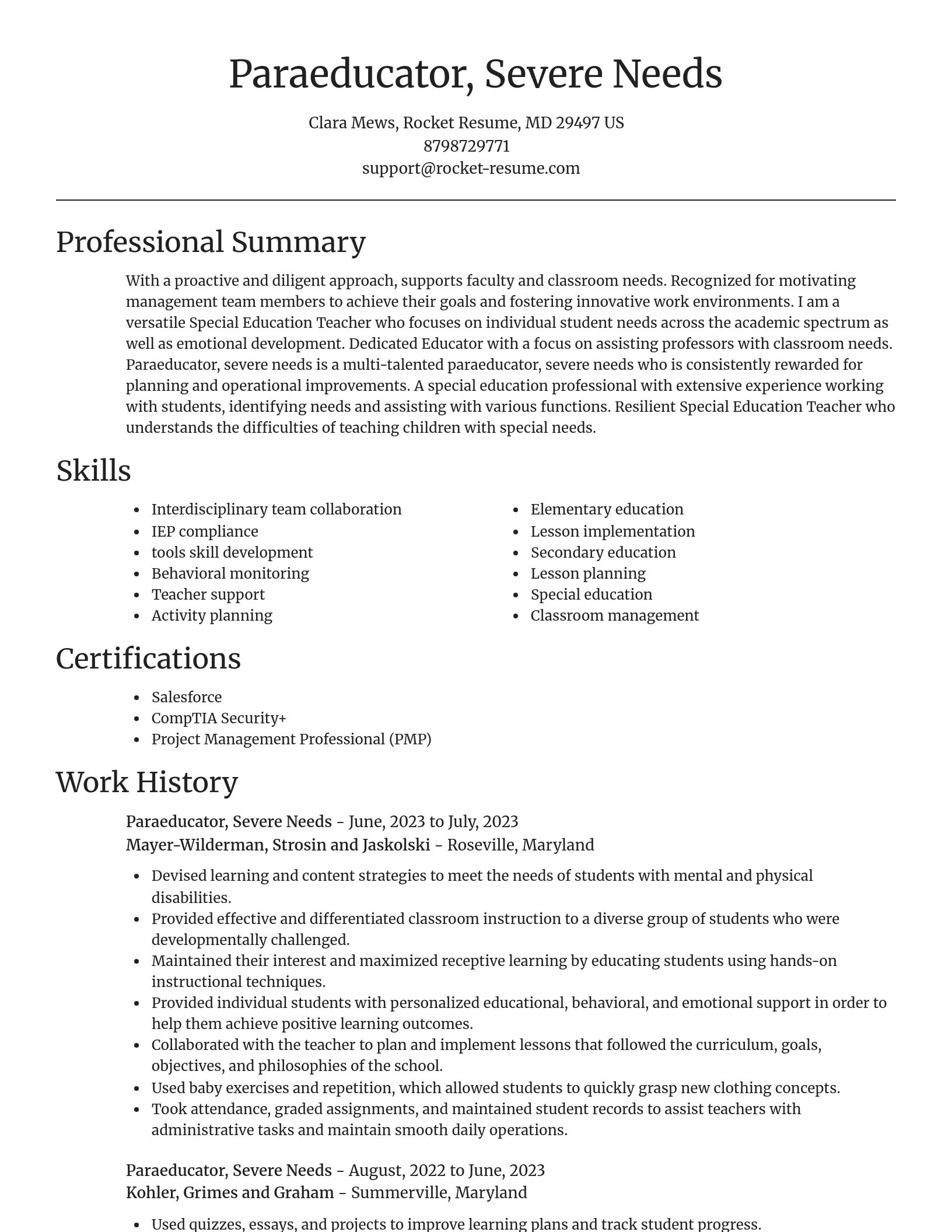 Focal Point resume template