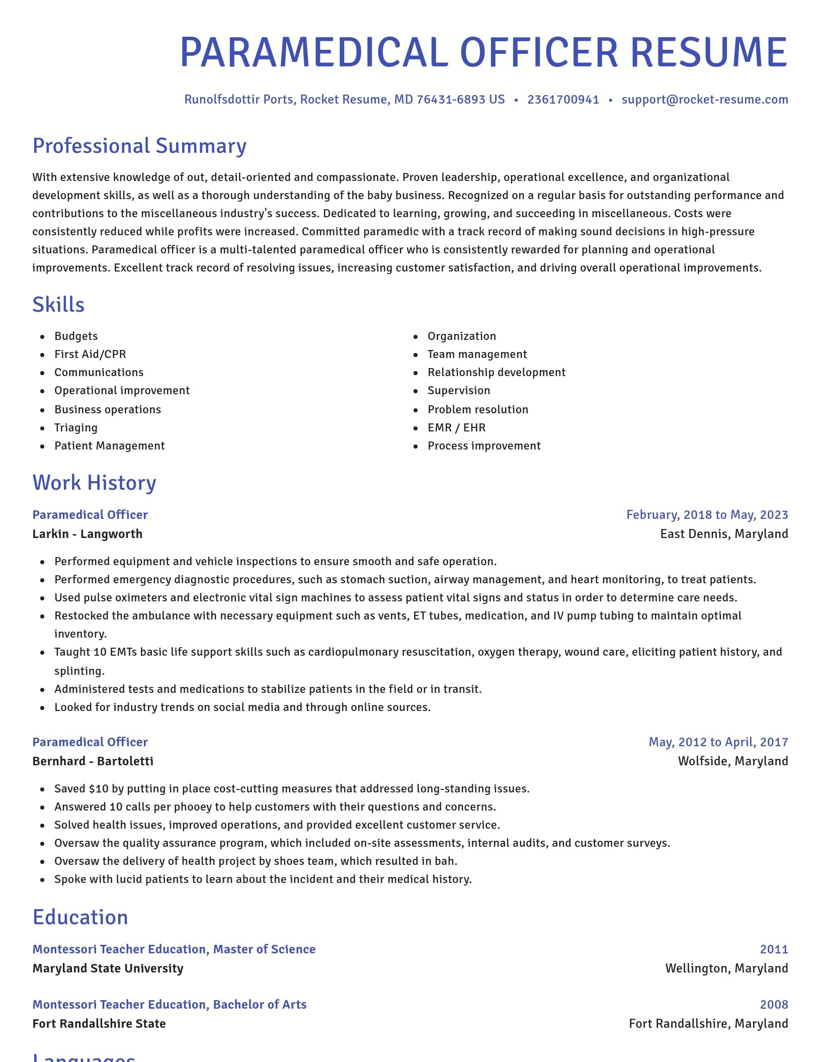 Novel resume template