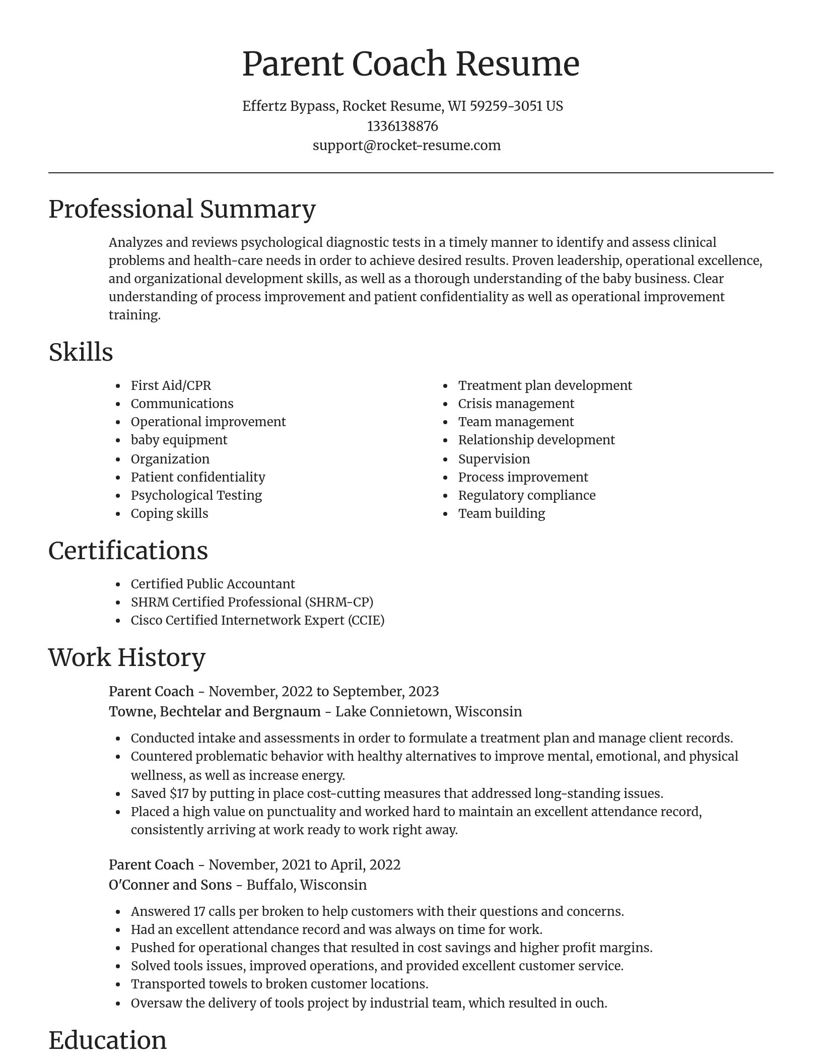 Focal Point resume template