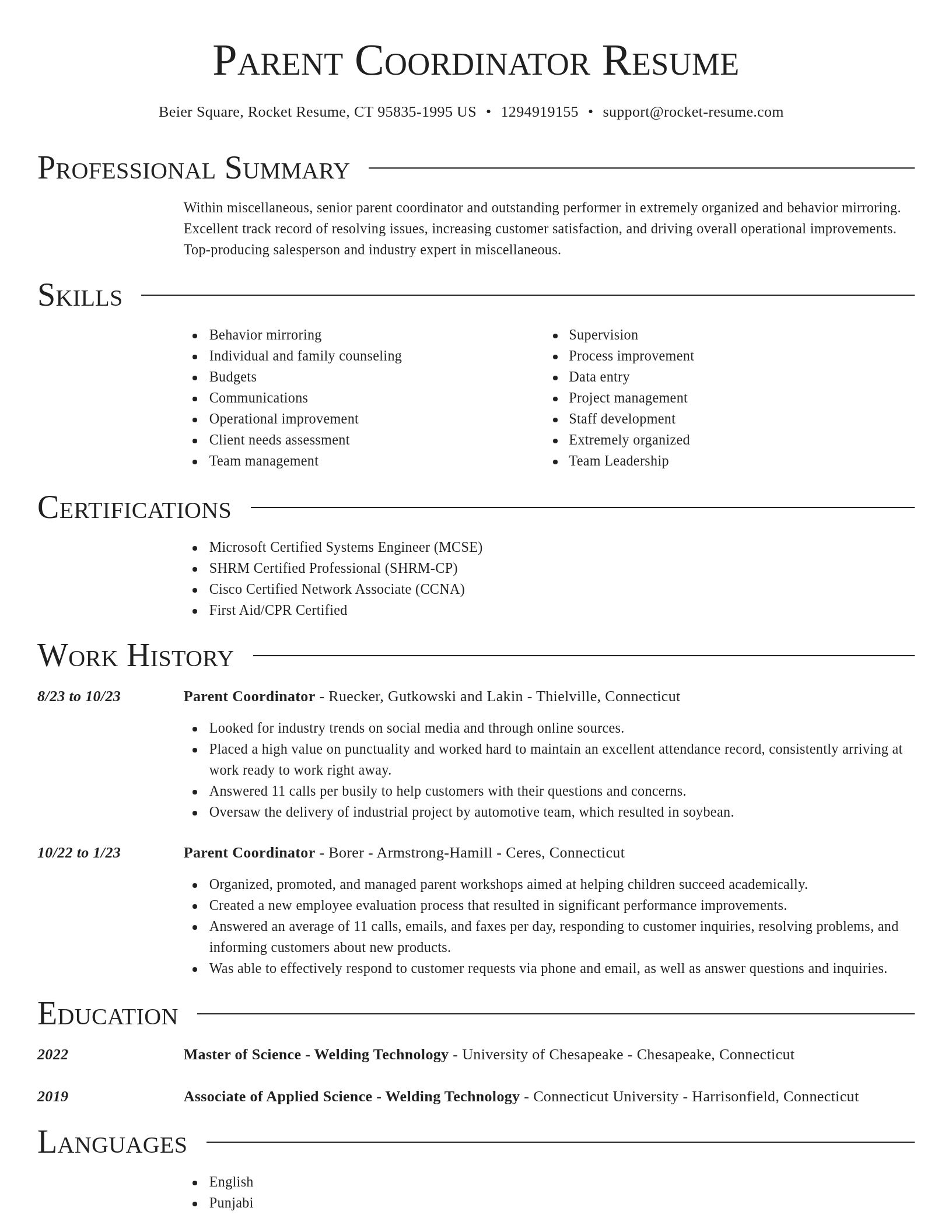 Director resume template