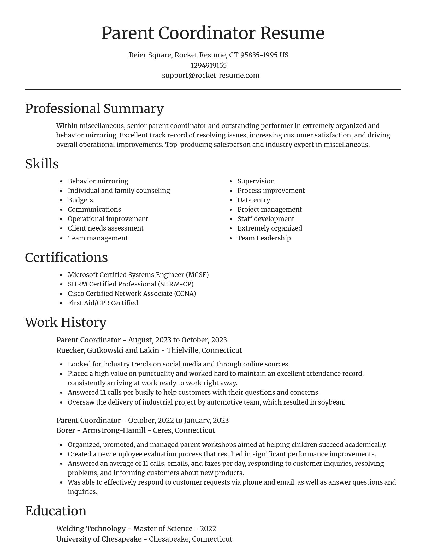 Focal Point resume template