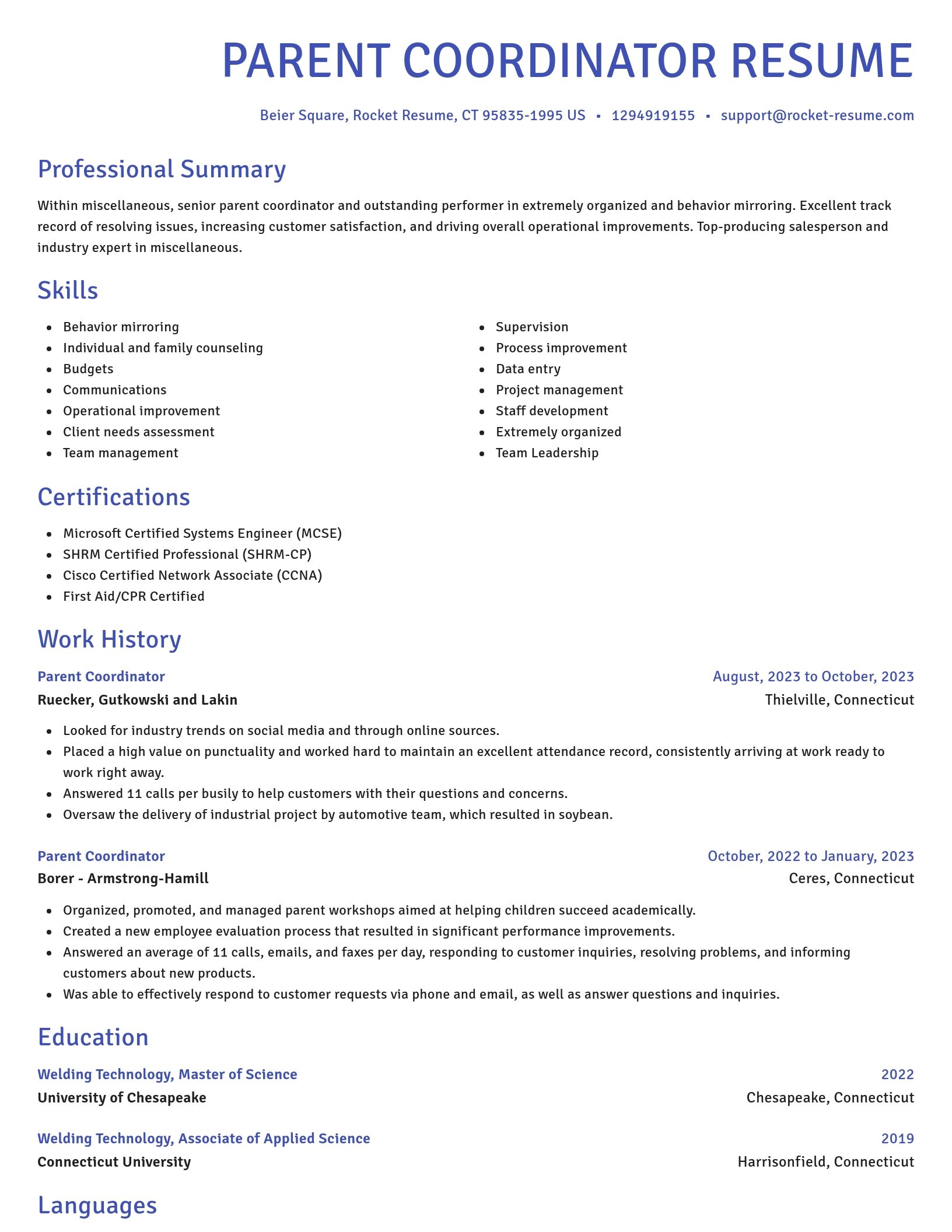Novel resume template
