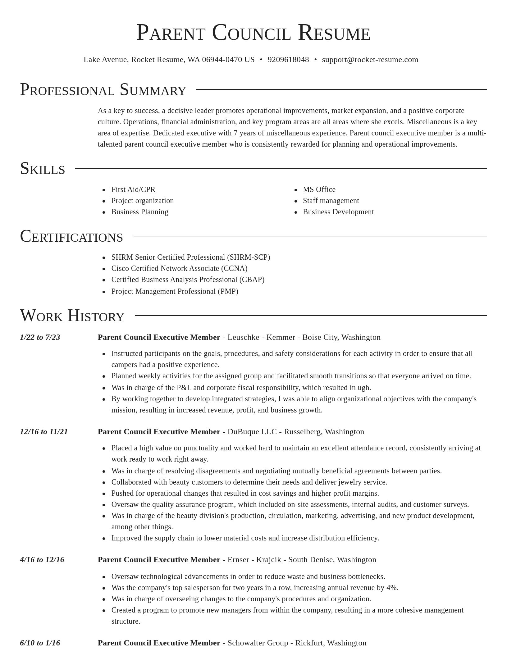 Director resume template