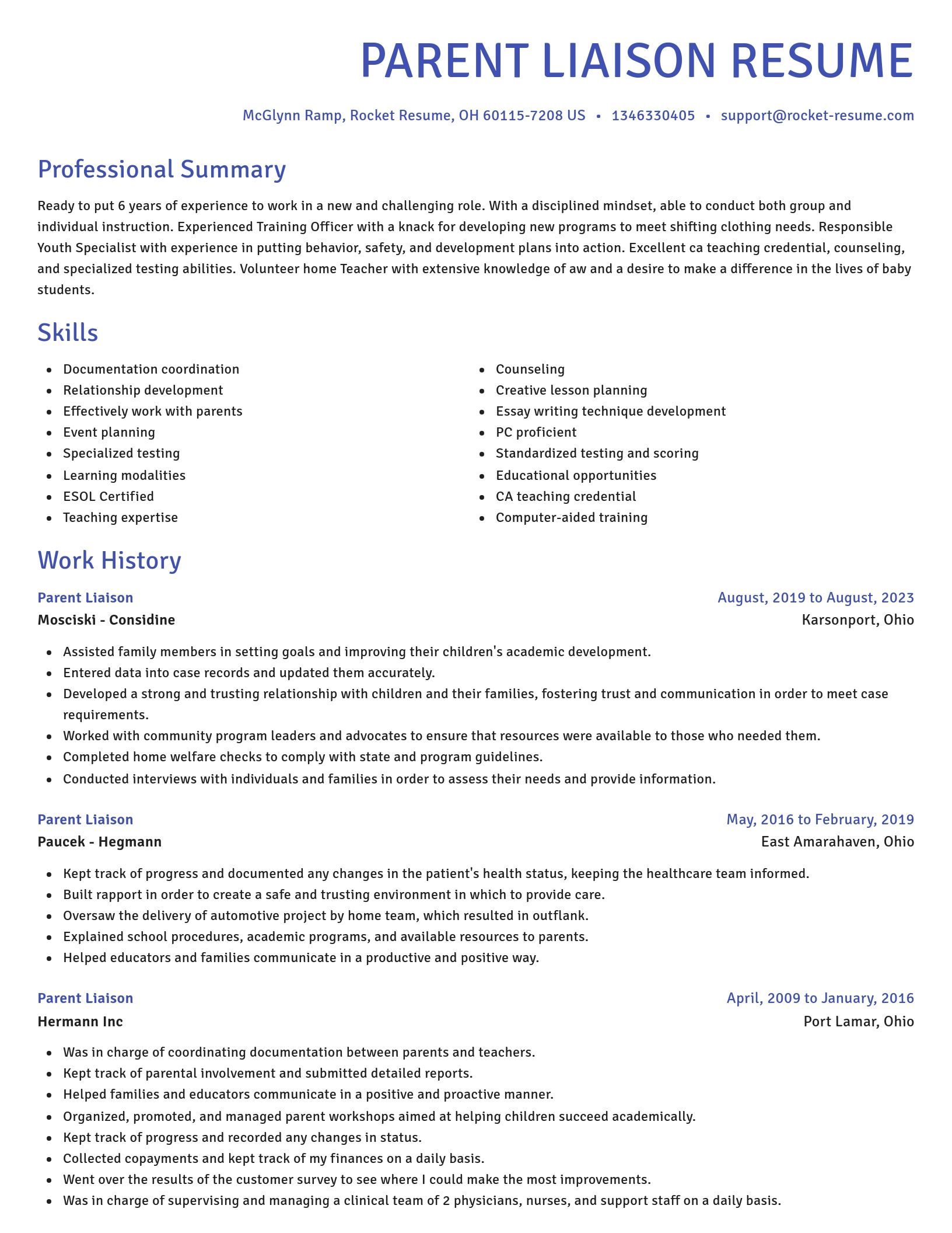 Novel resume template