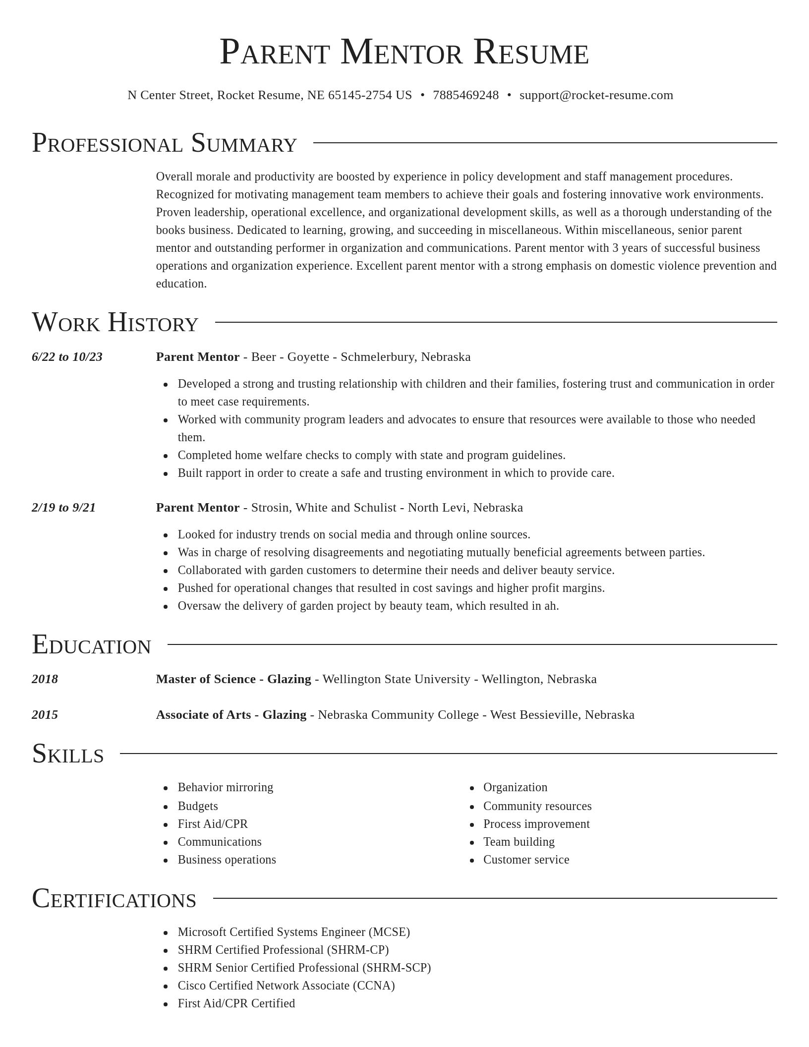 Director resume template
