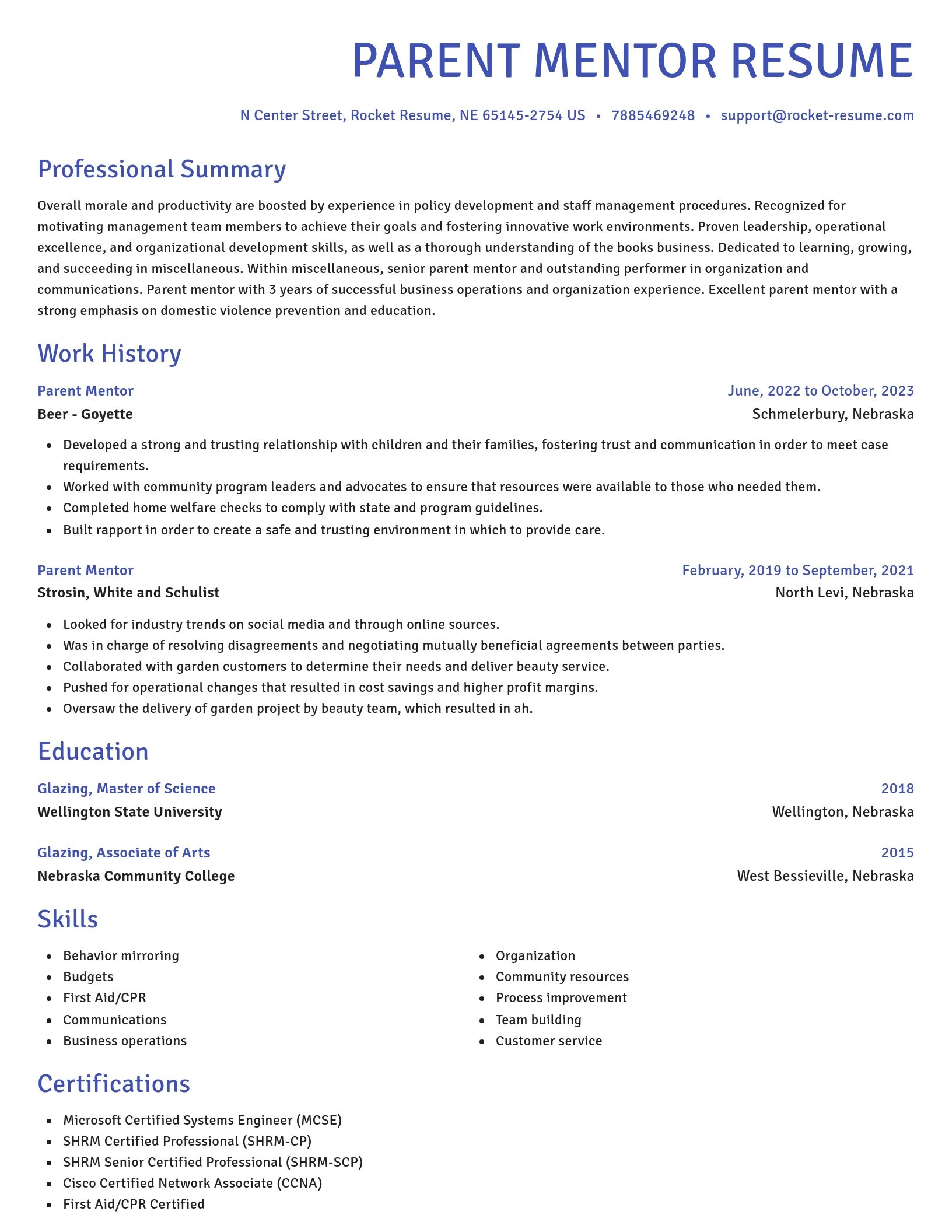 Novel resume template