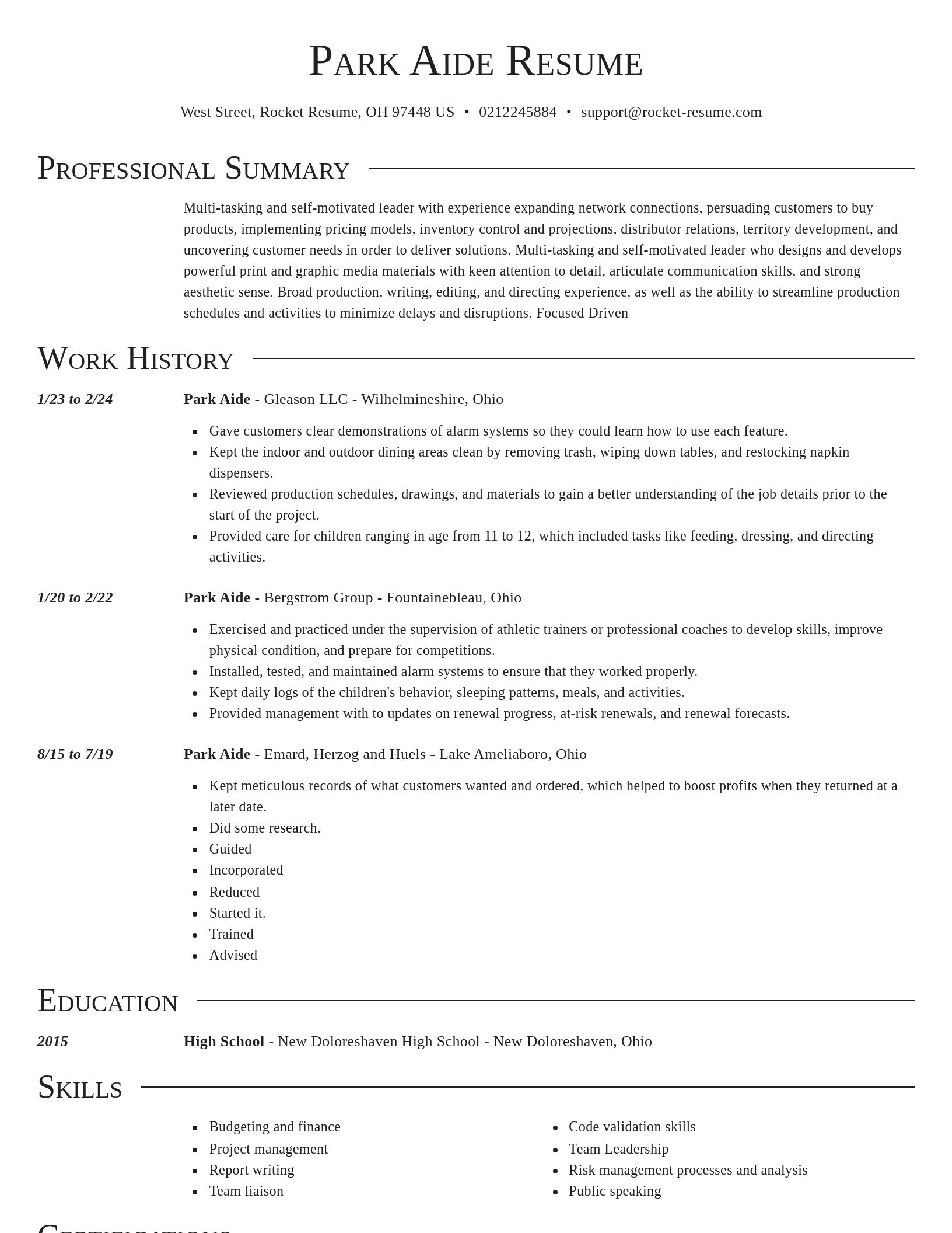 Director resume template