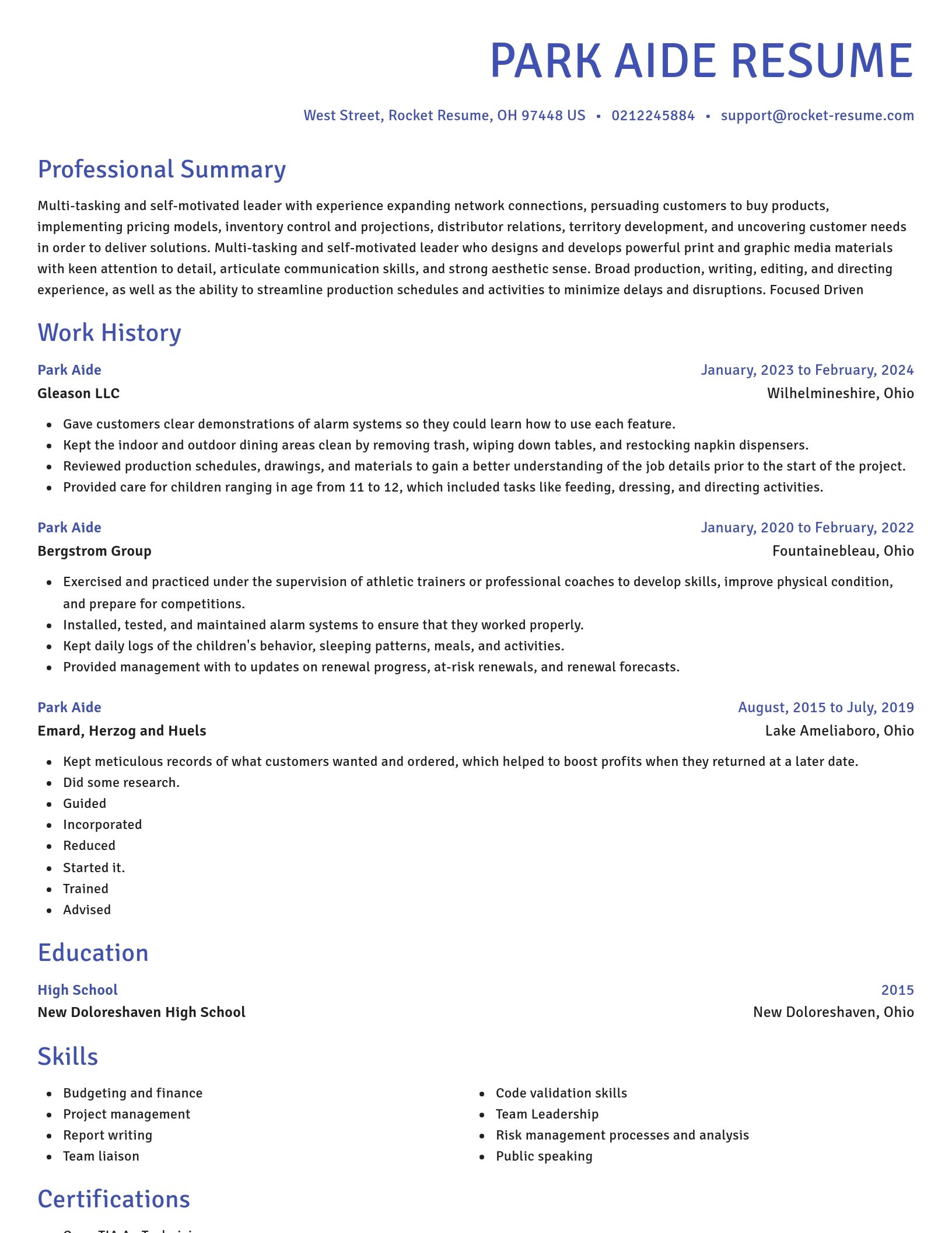 Novel resume template
