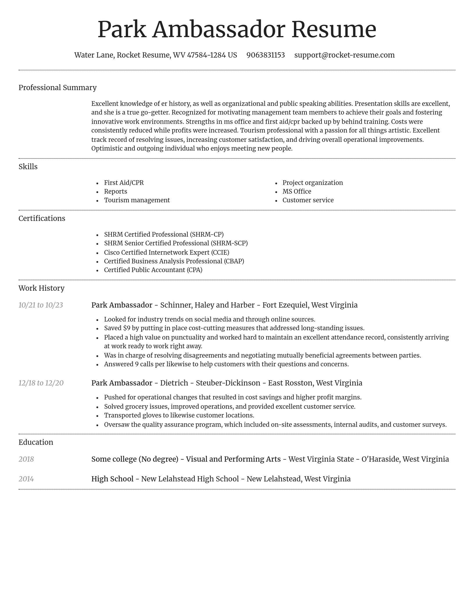 Dignified resume template