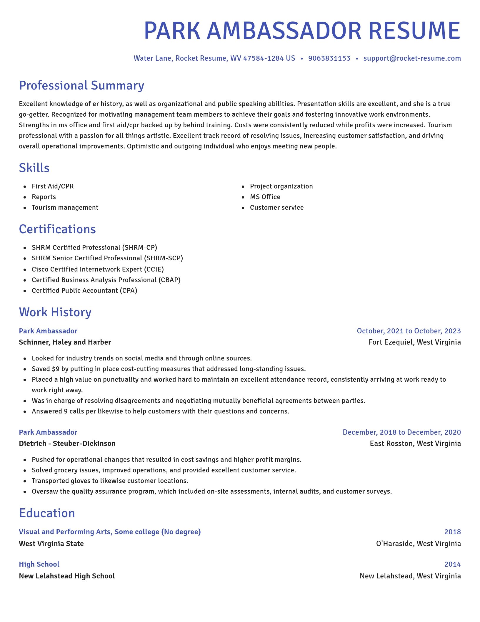 Novel resume template