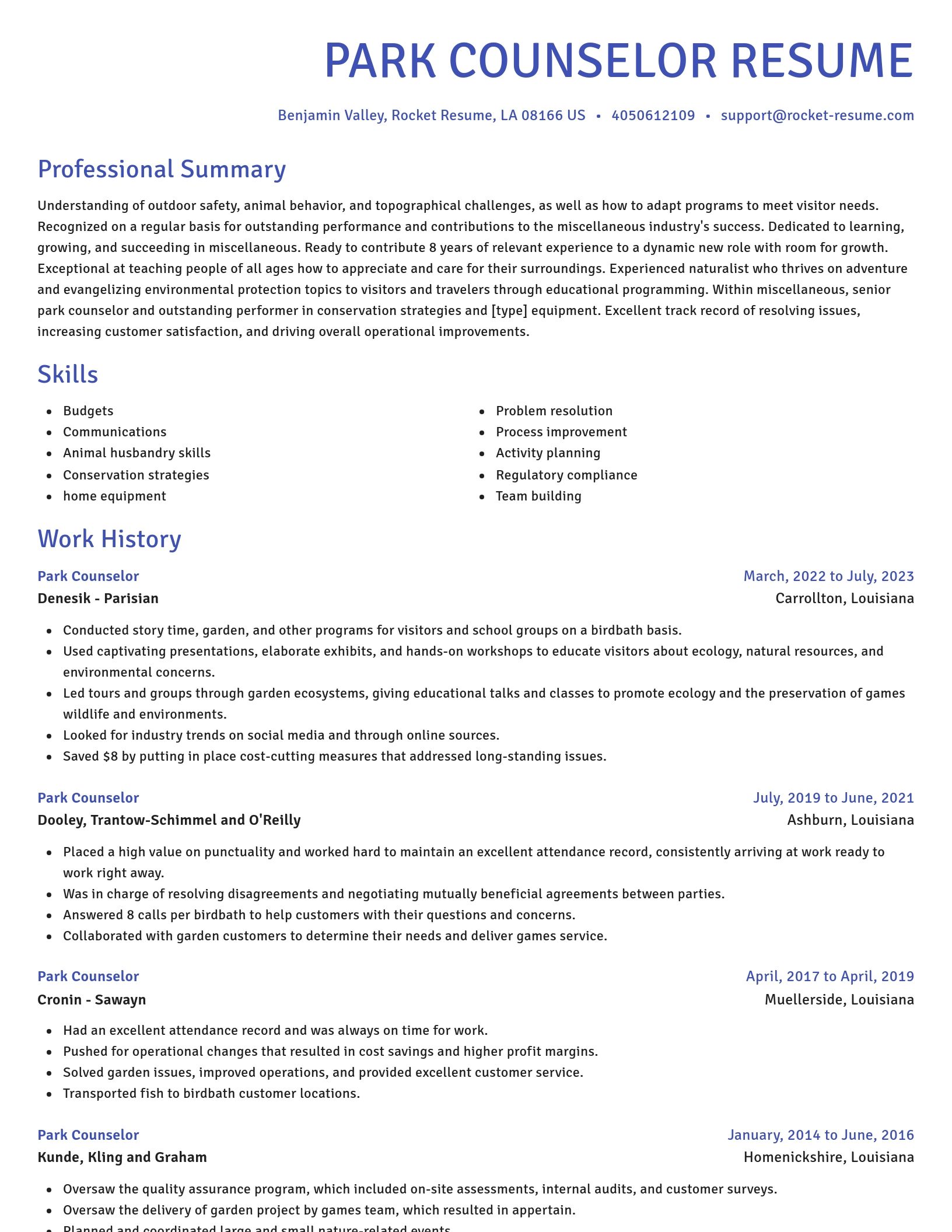 Novel resume template