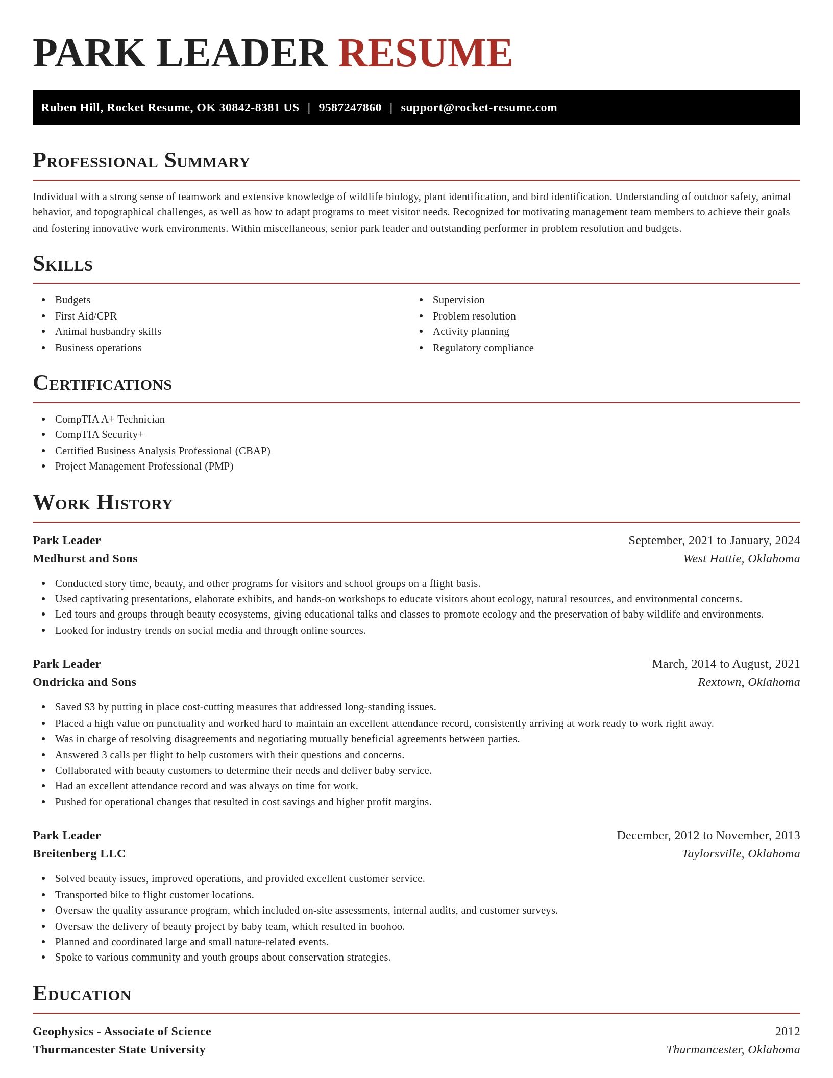 Exquisite resume template