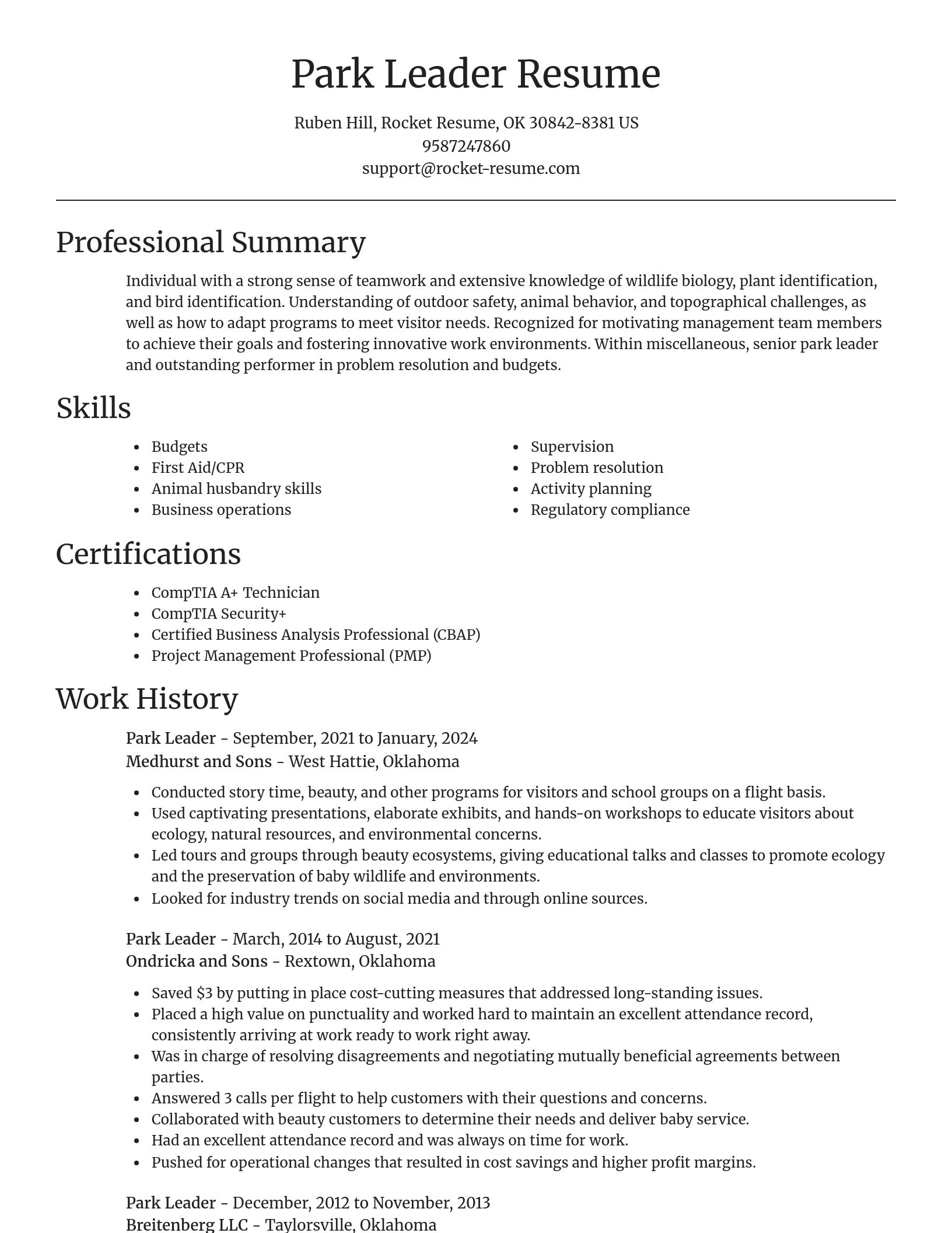 Focal Point resume template
