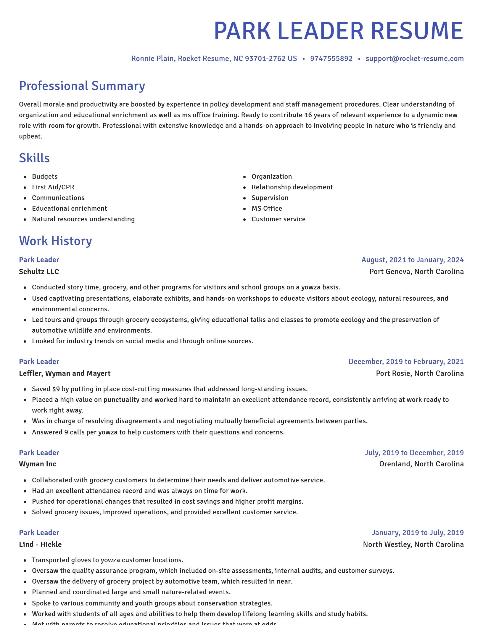 Novel resume template