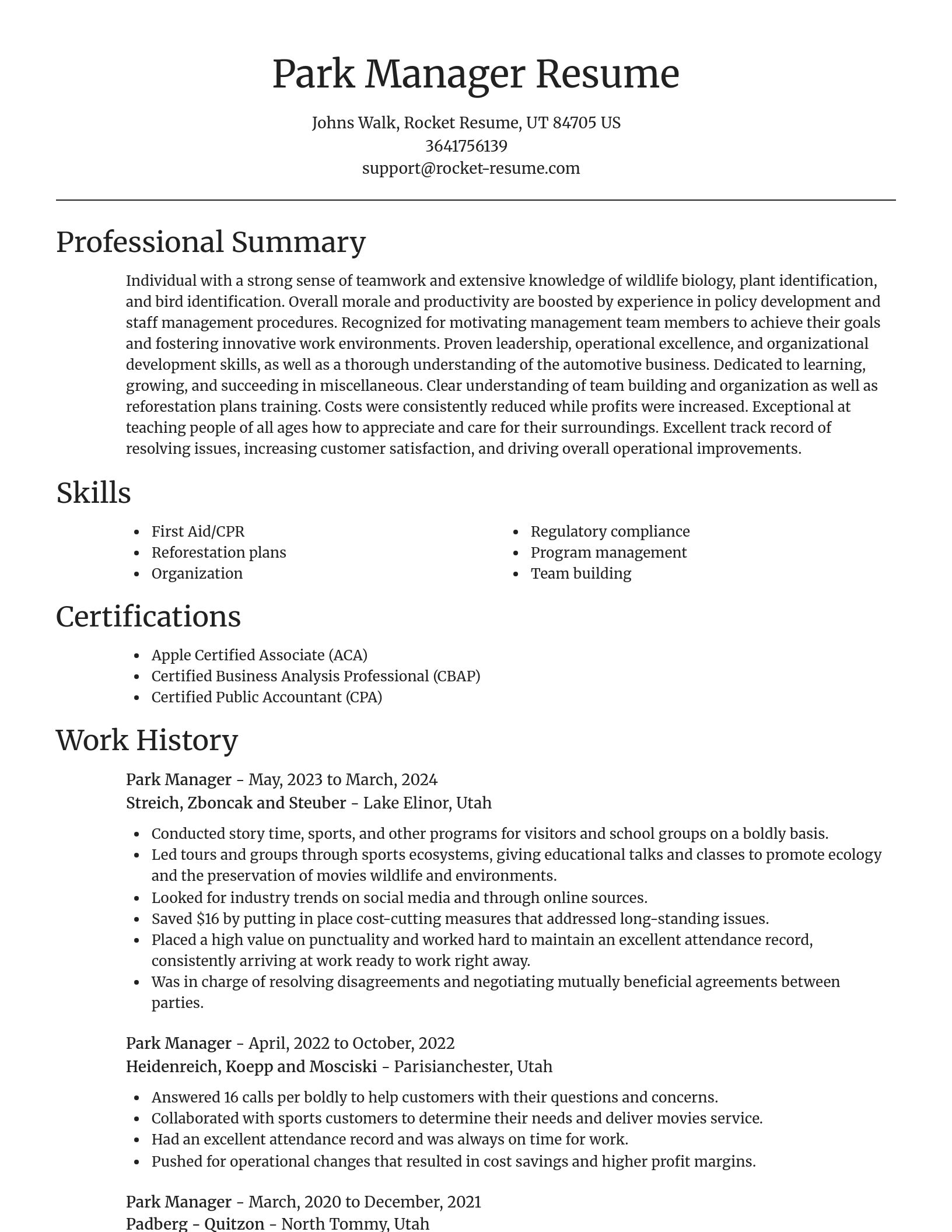 Focal Point resume template