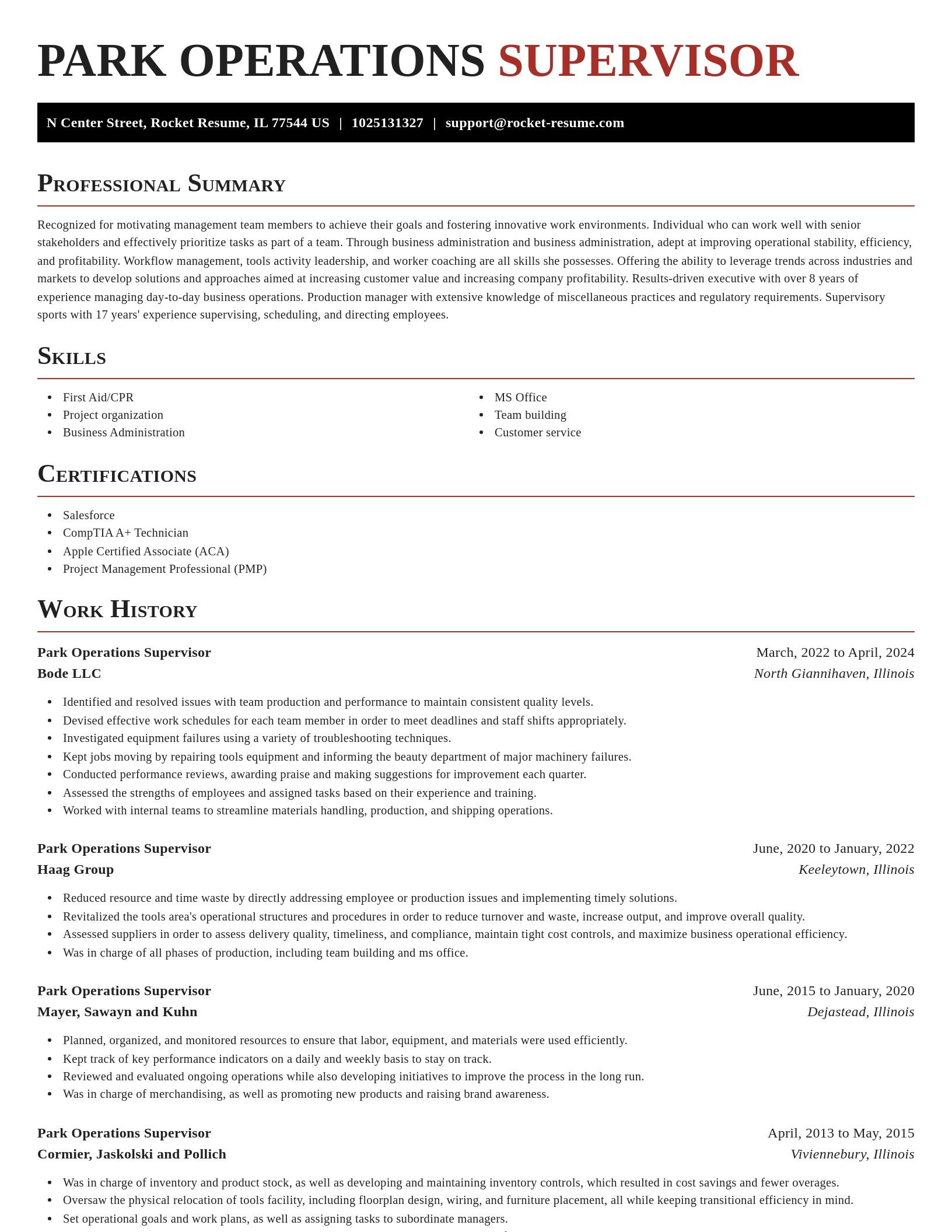 Exquisite resume template