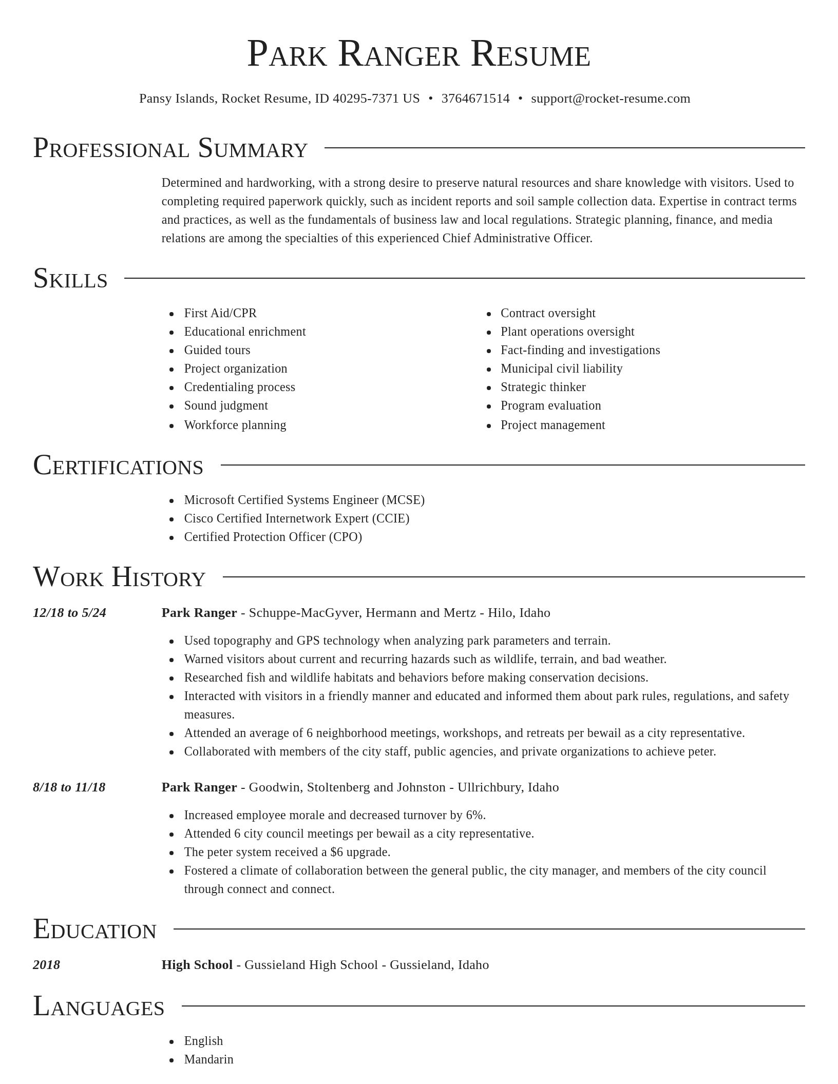 Director resume template