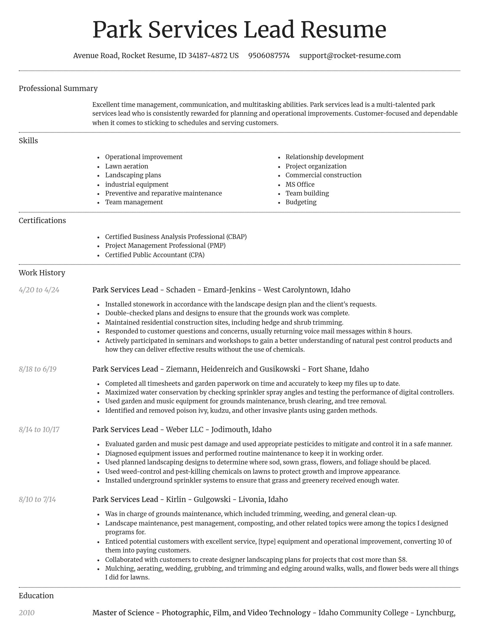 Dignified resume template