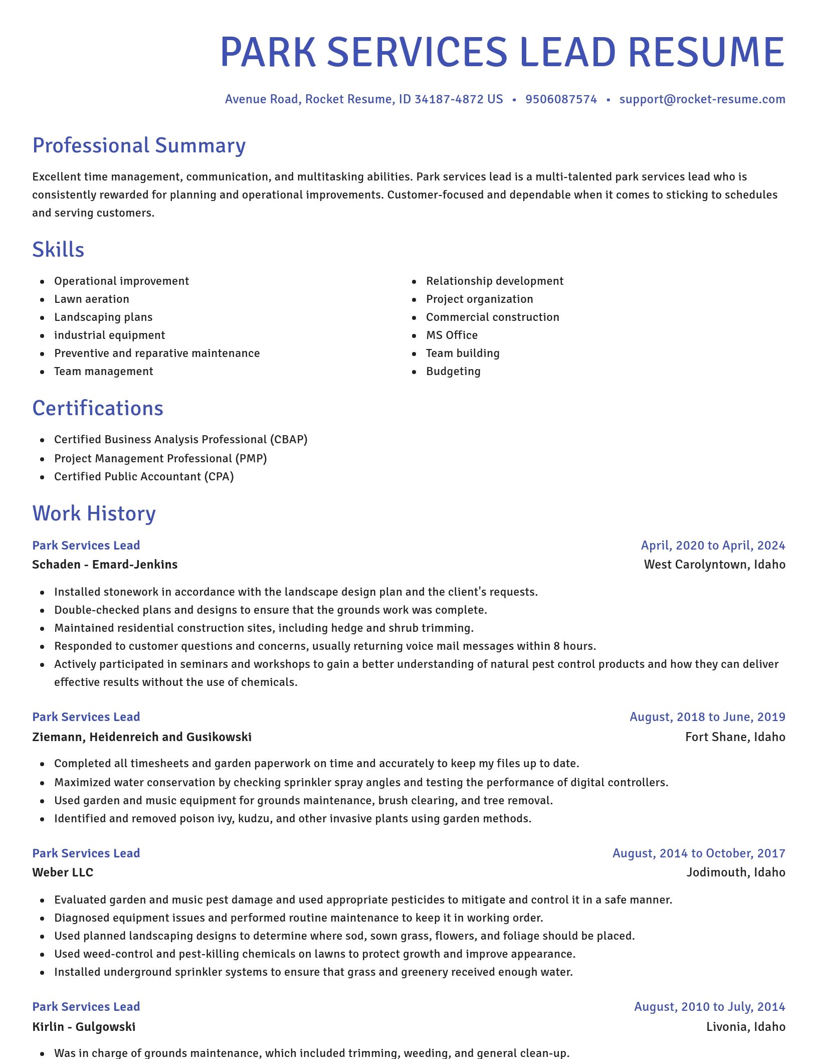 Novel resume template