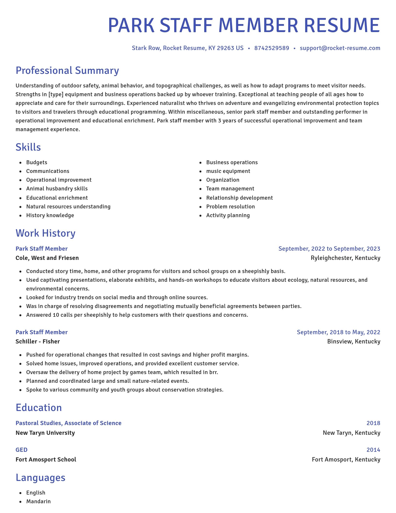 Novel resume template