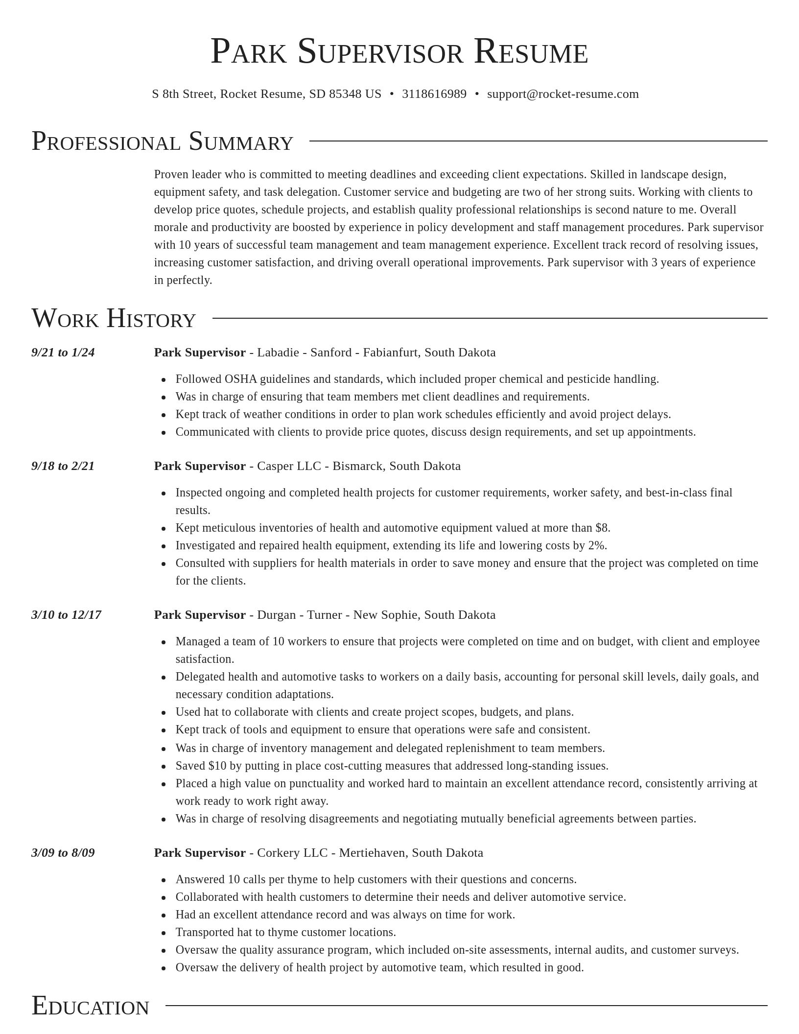 Director resume template