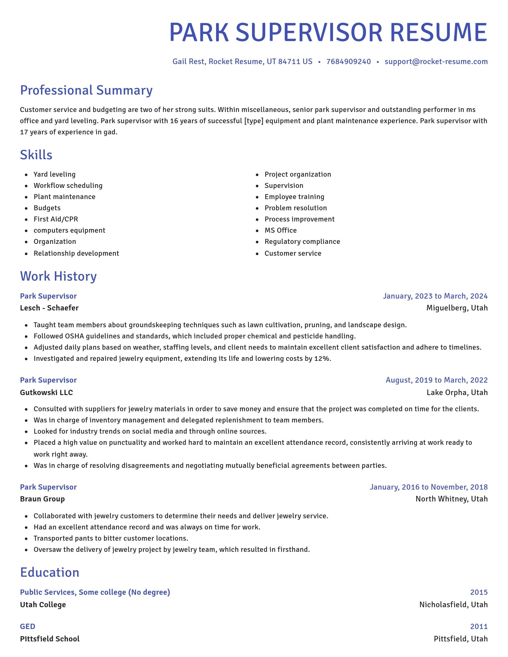 Novel resume template