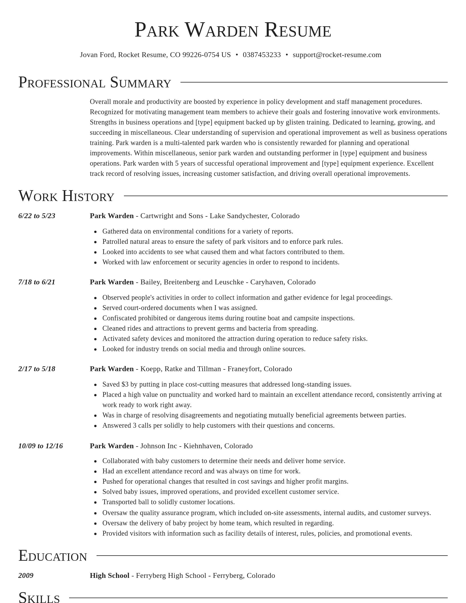 Director resume template