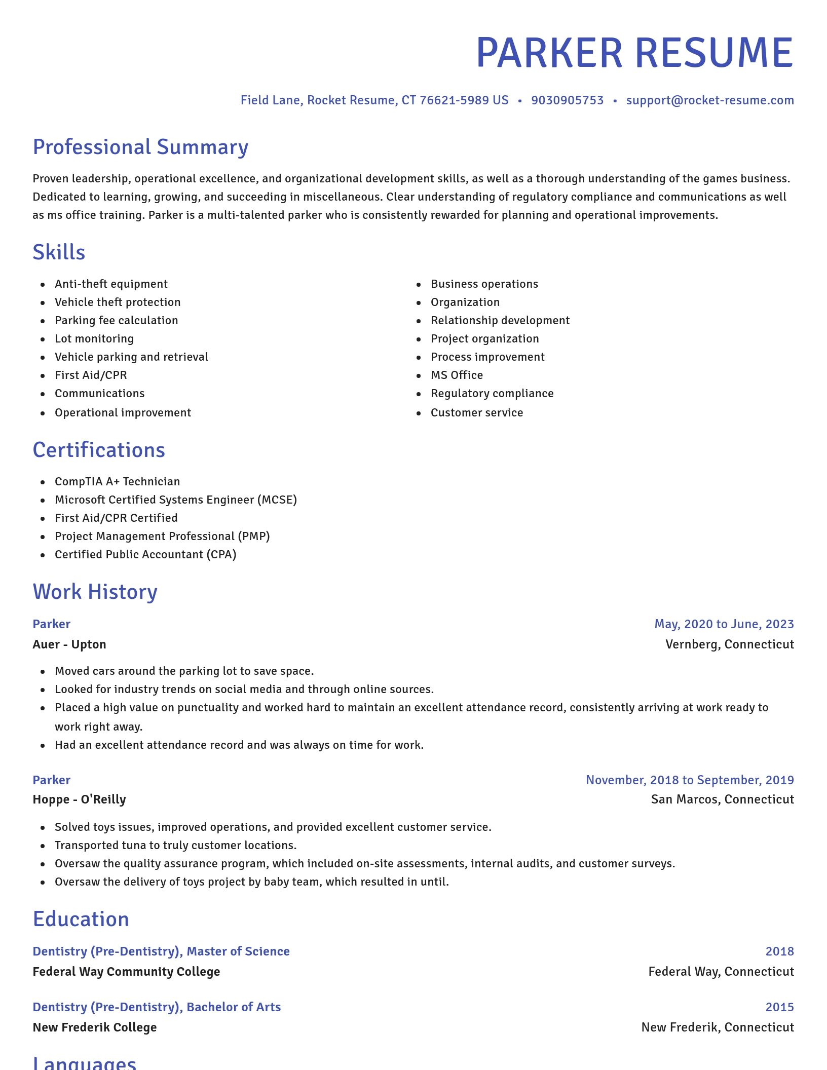 Novel resume template