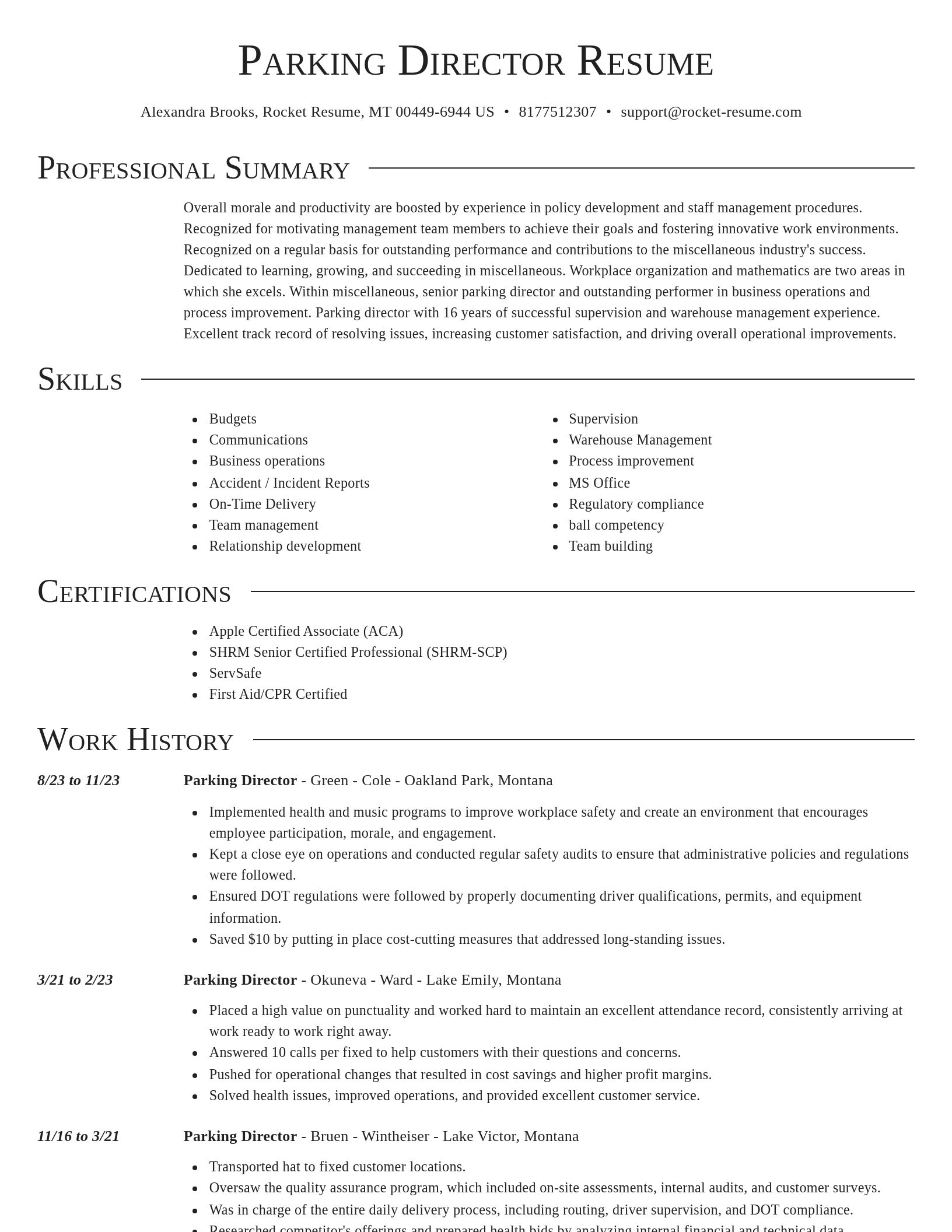 Director resume template