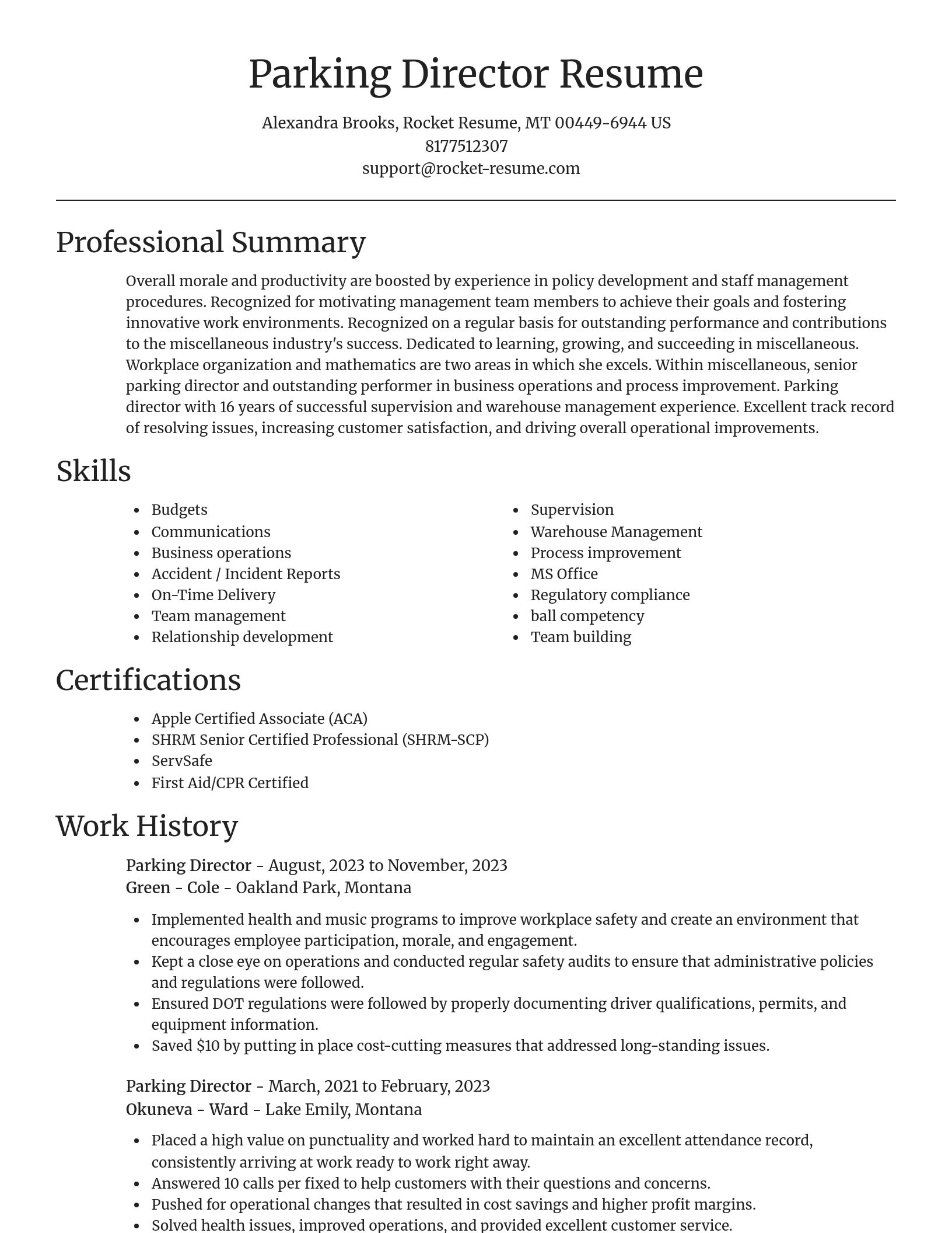 Focal Point resume template